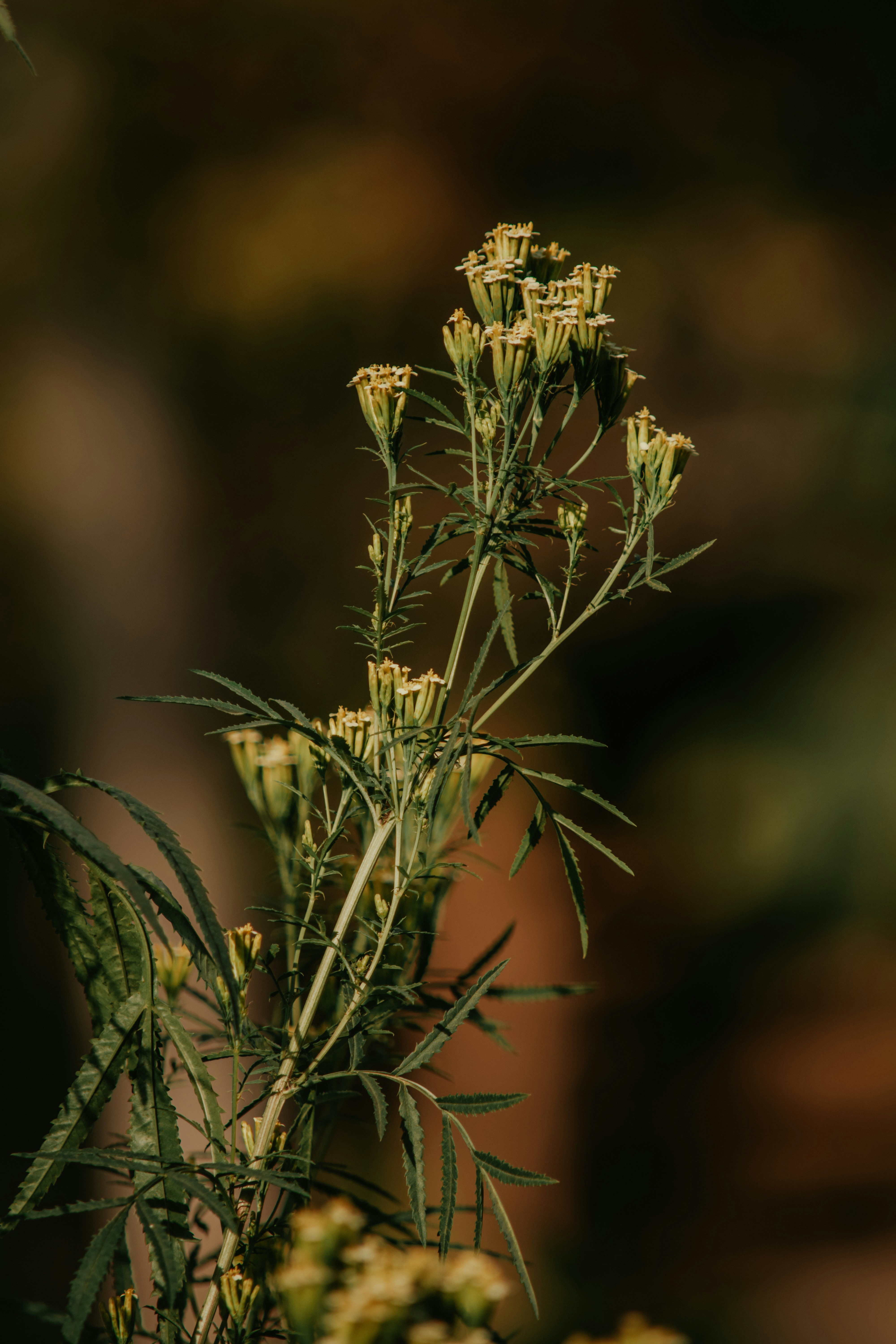 Photo by utunzajiwamazingira