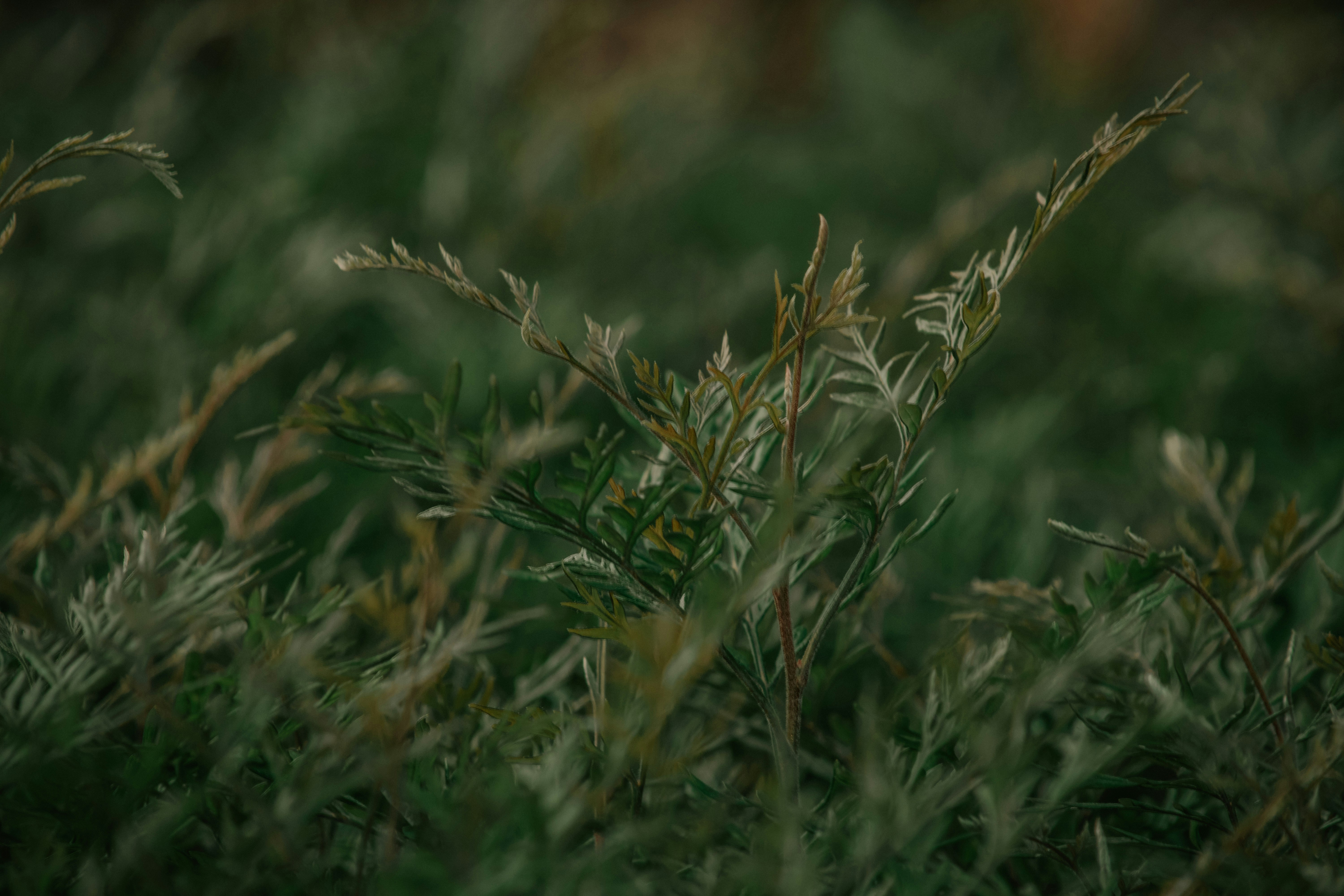 Photo by utunzajiwamazingira