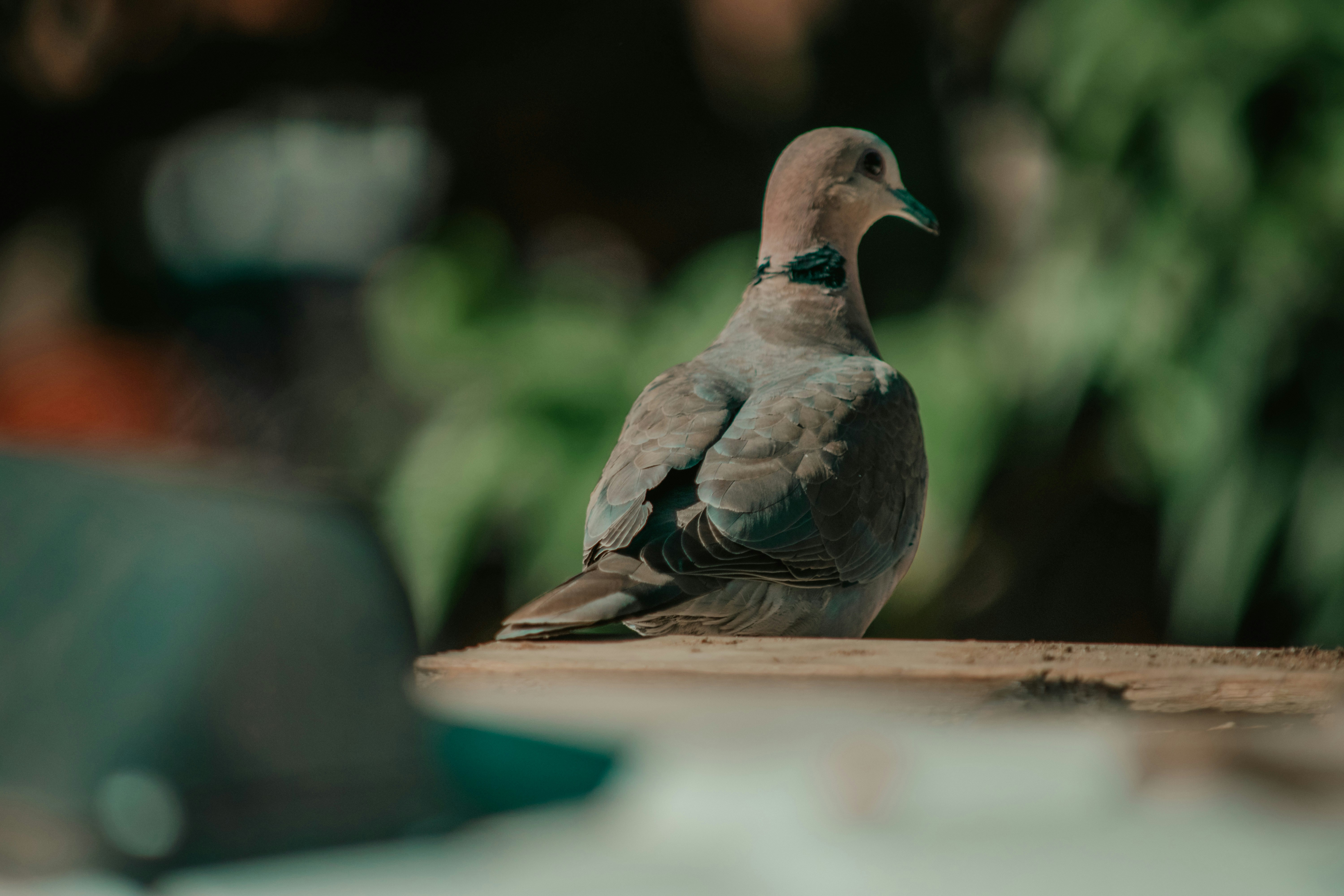 Photo by utunzajiwamazingira