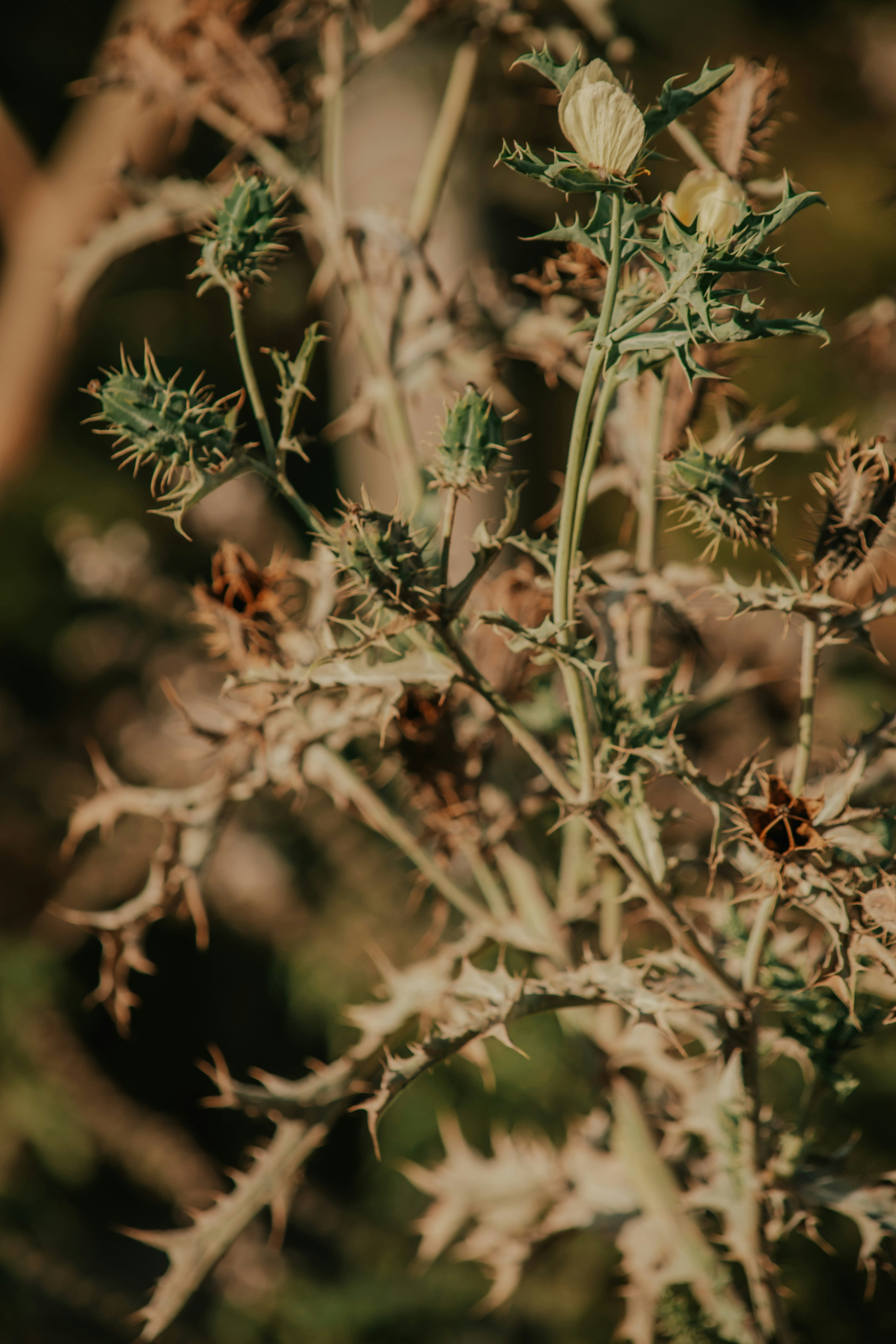 Photo by utunzajiwamazingira