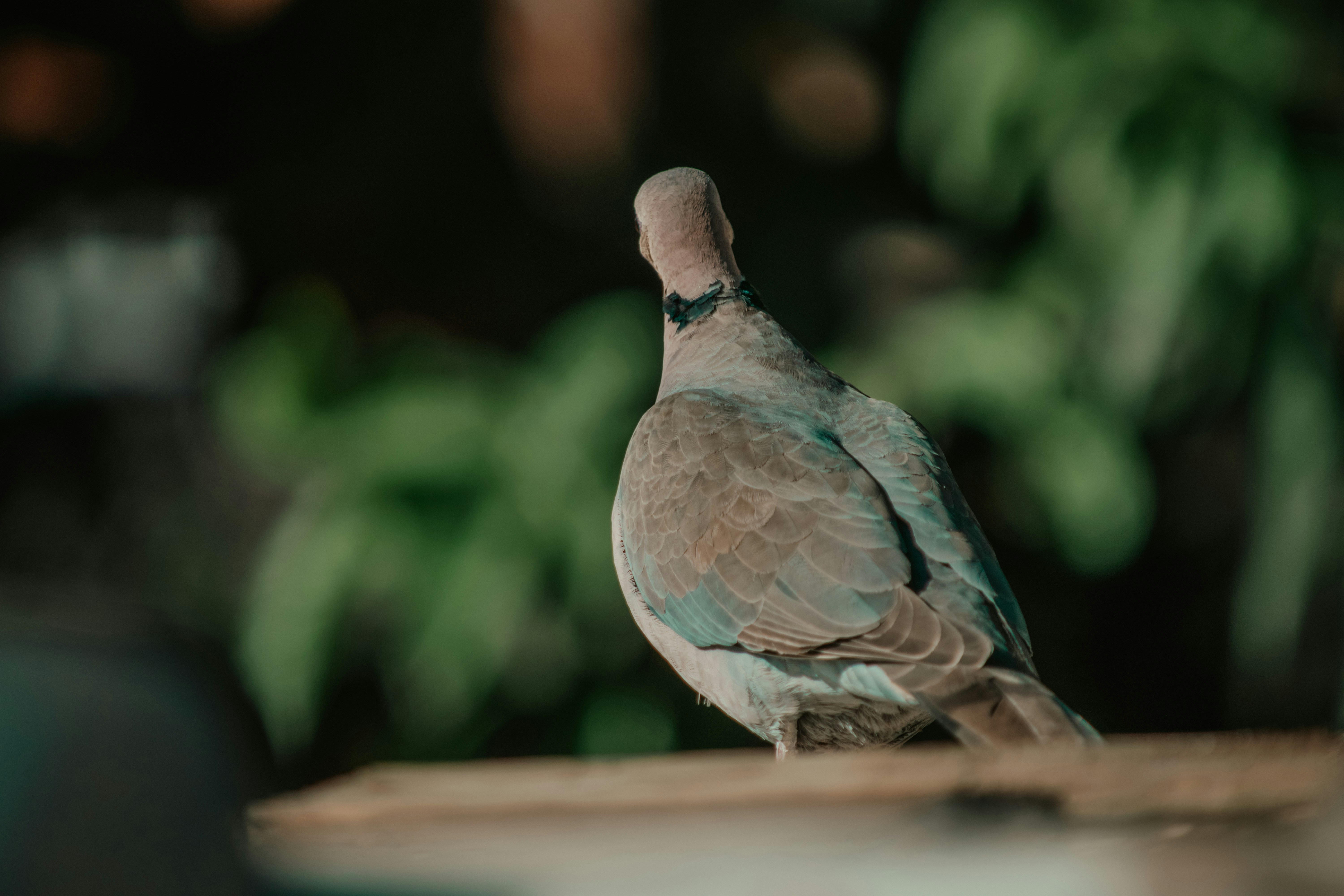 Photo by utunzajiwamazingira