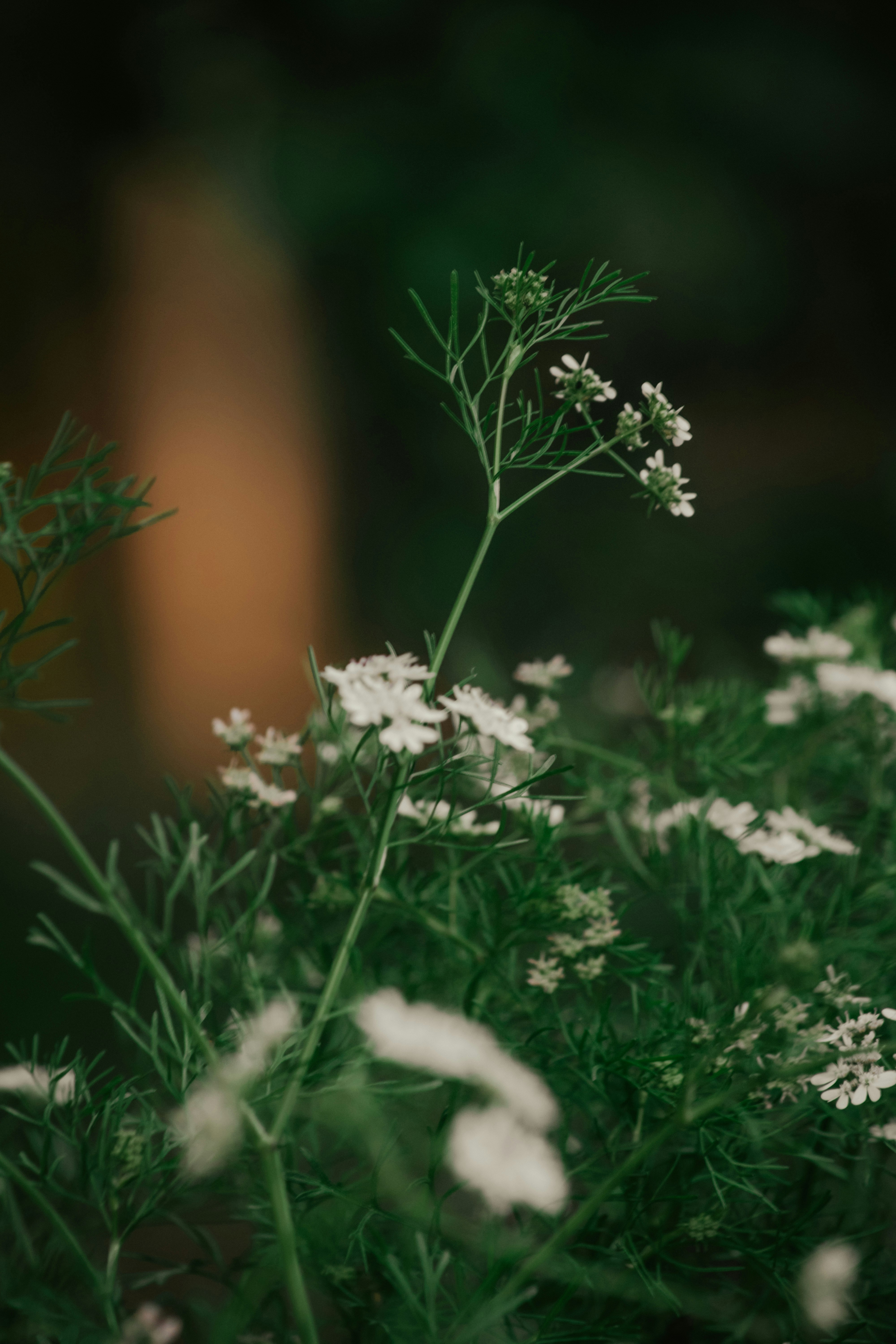 Photo by utunzajiwamazingira