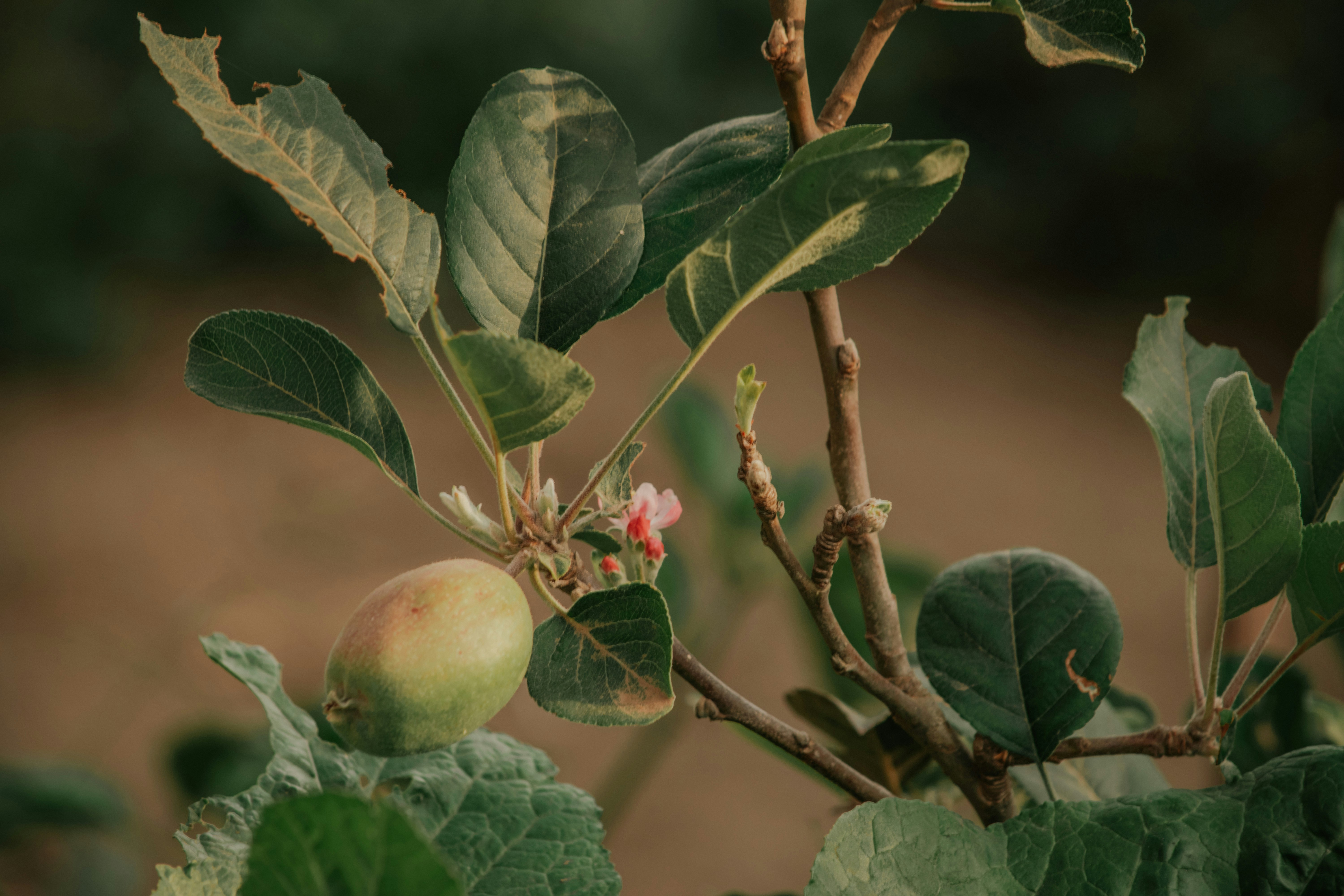 Photo by utunzajiwamazingira