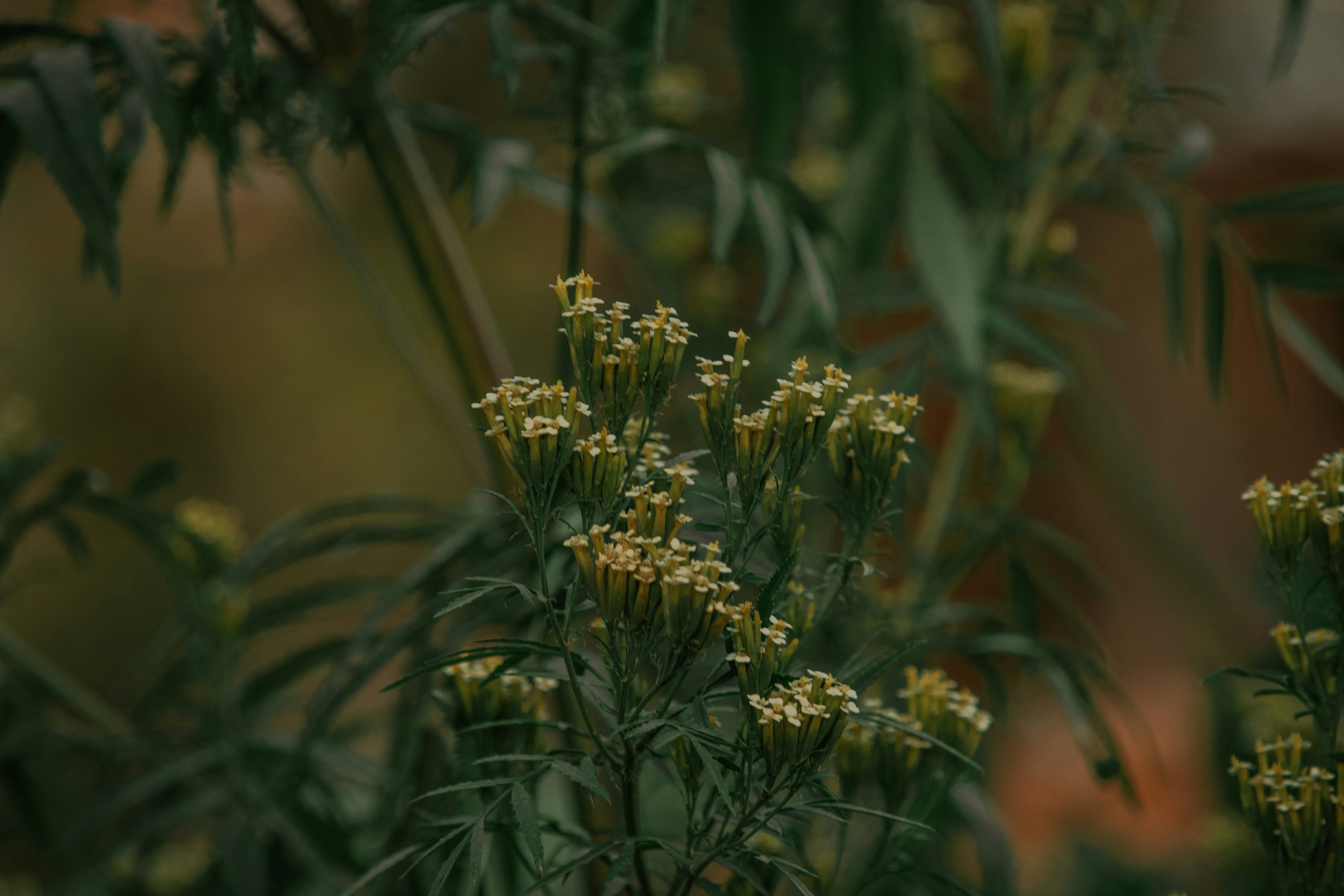 Photo by utunzajiwamazingira