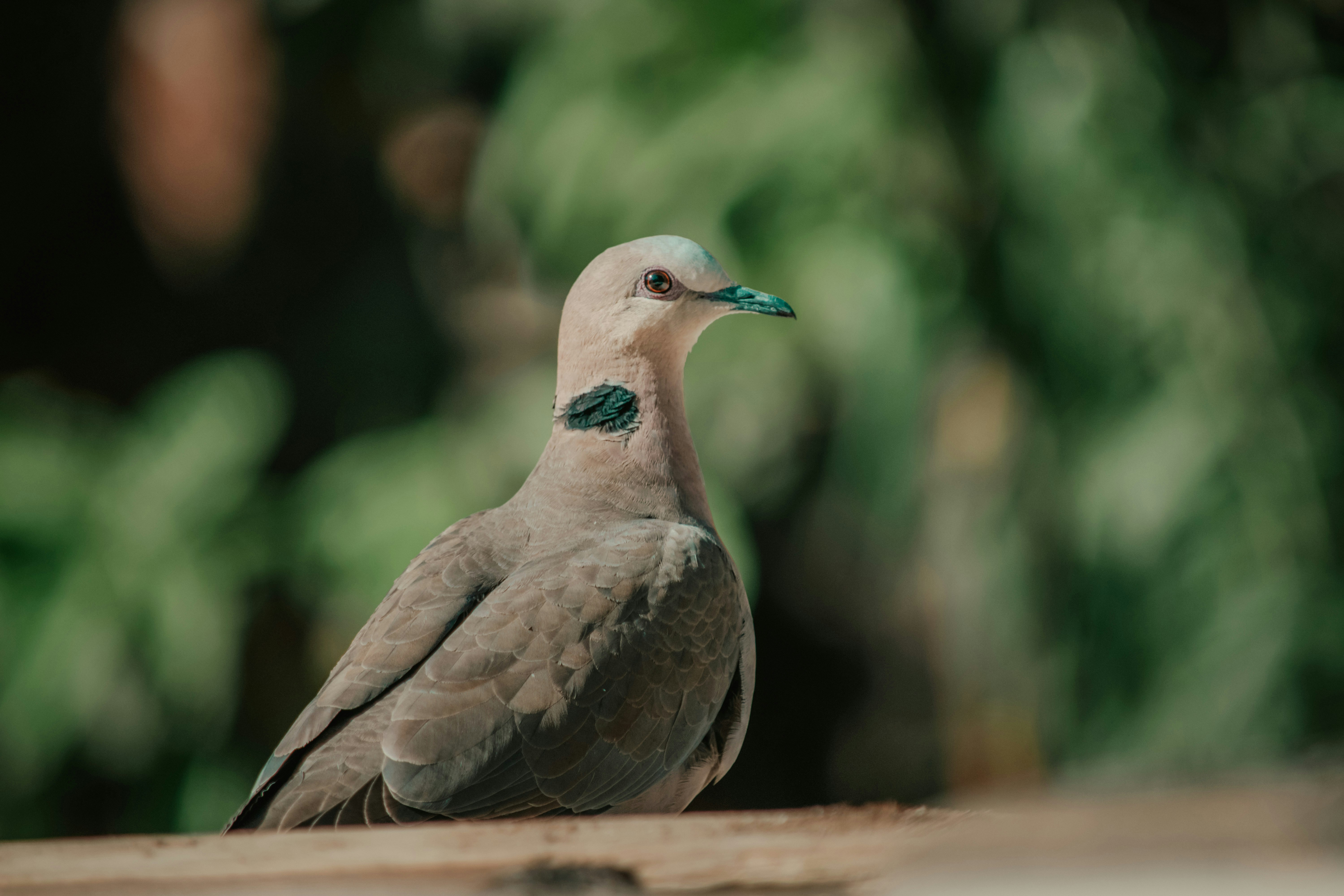 Photo by utunzajiwamazingira