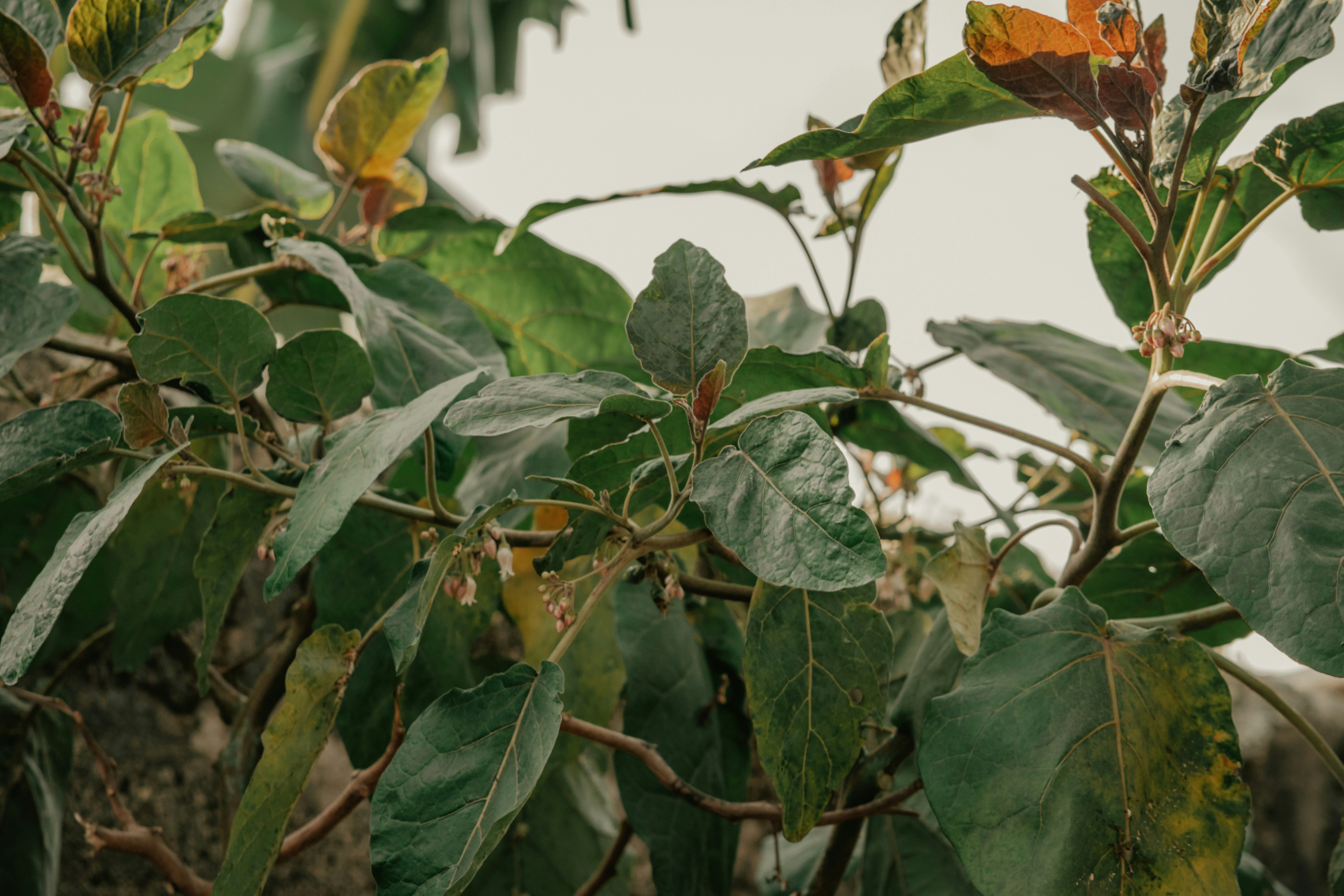 Photo by utunzajiwamazingira