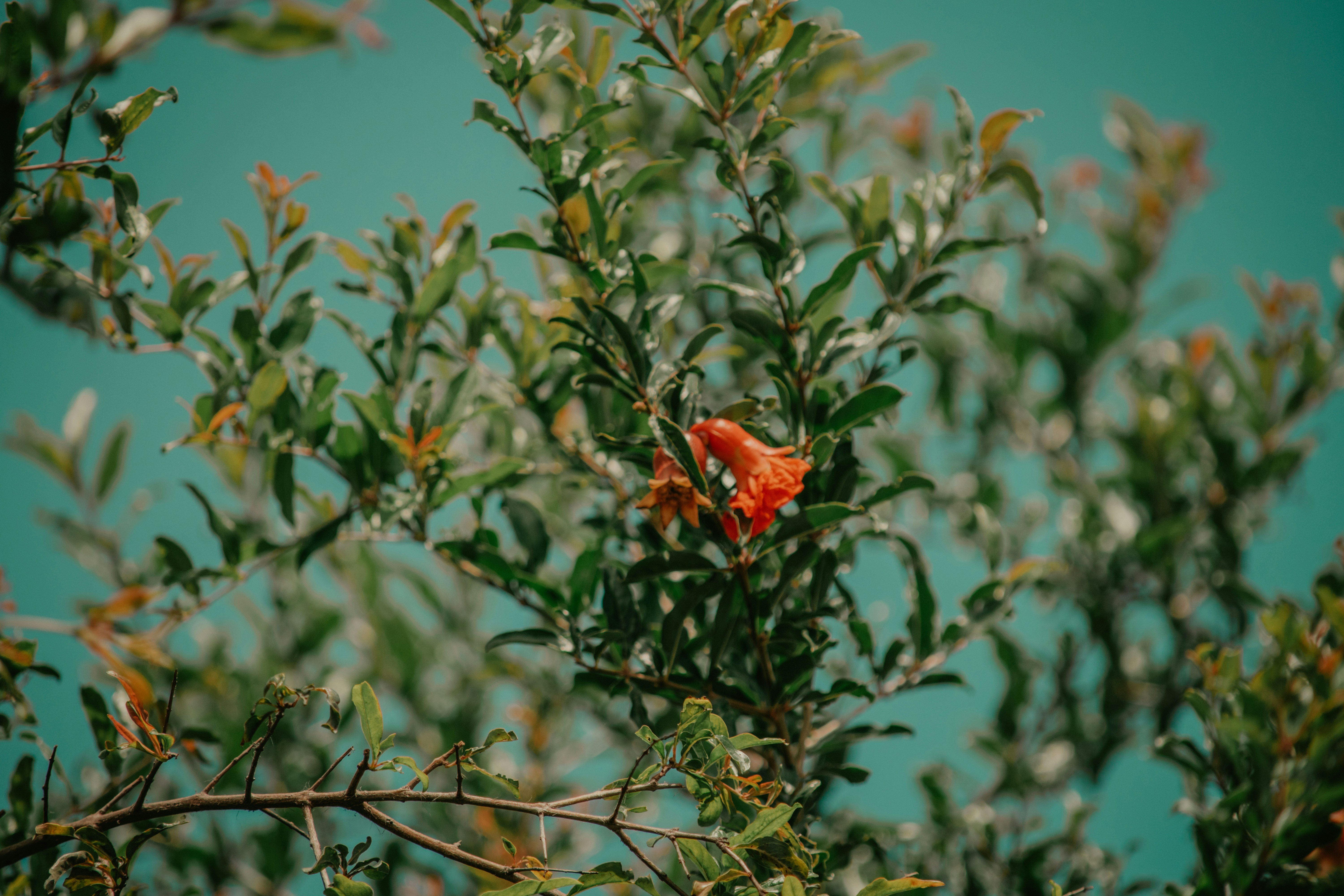Photo by utunzajiwamazingira