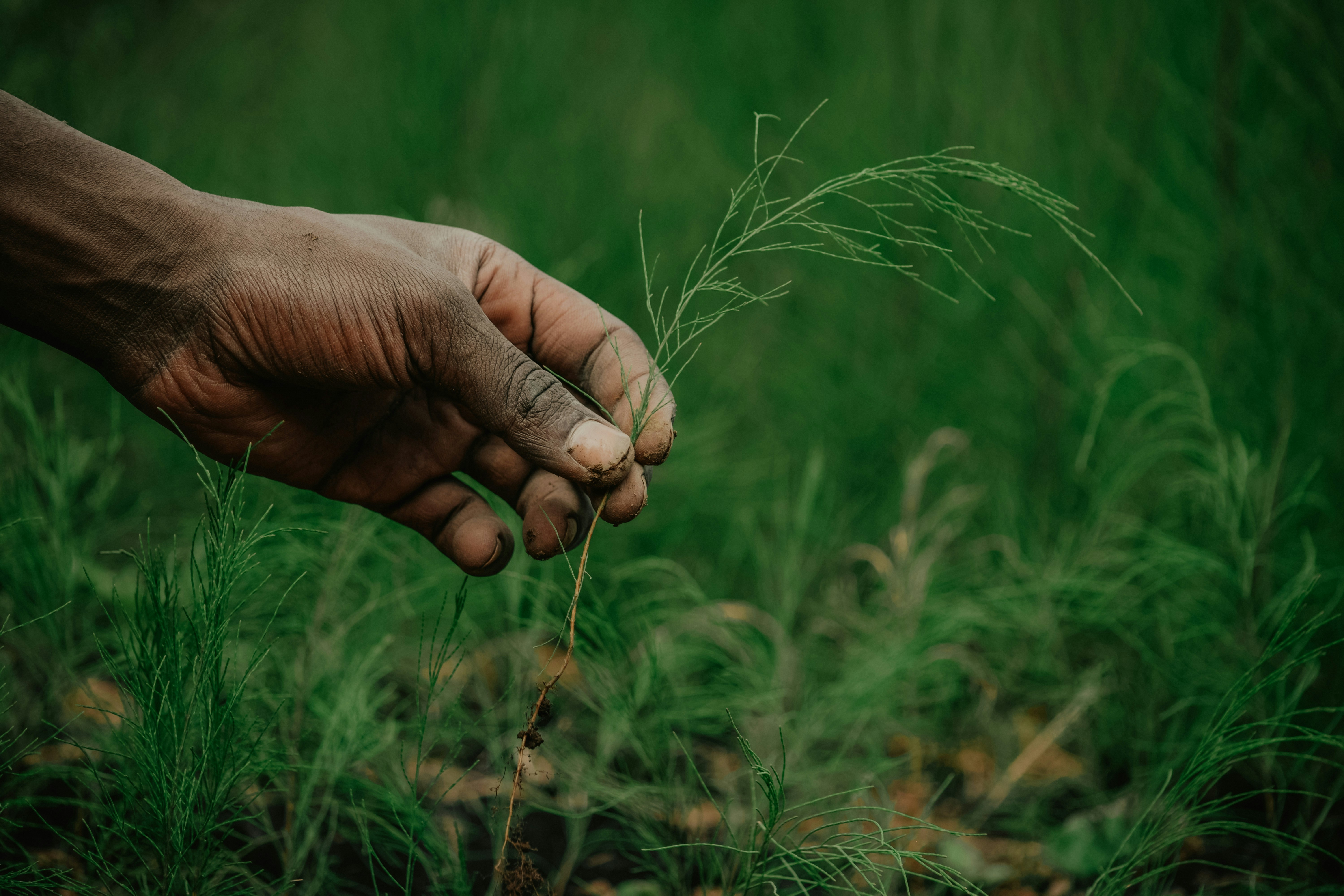 Photo by utunzajiwamazingira