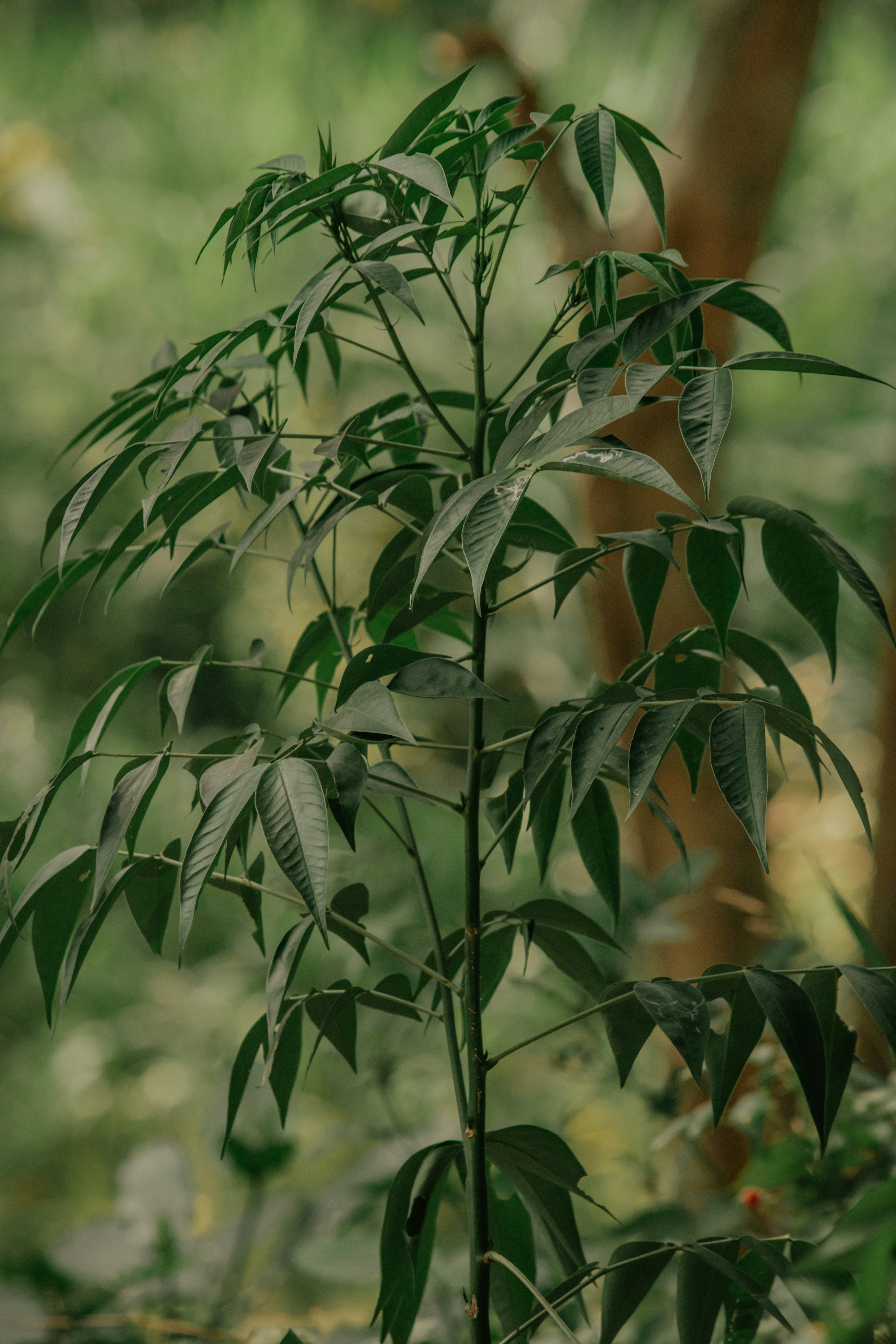 Photo by utunzajiwamazingira