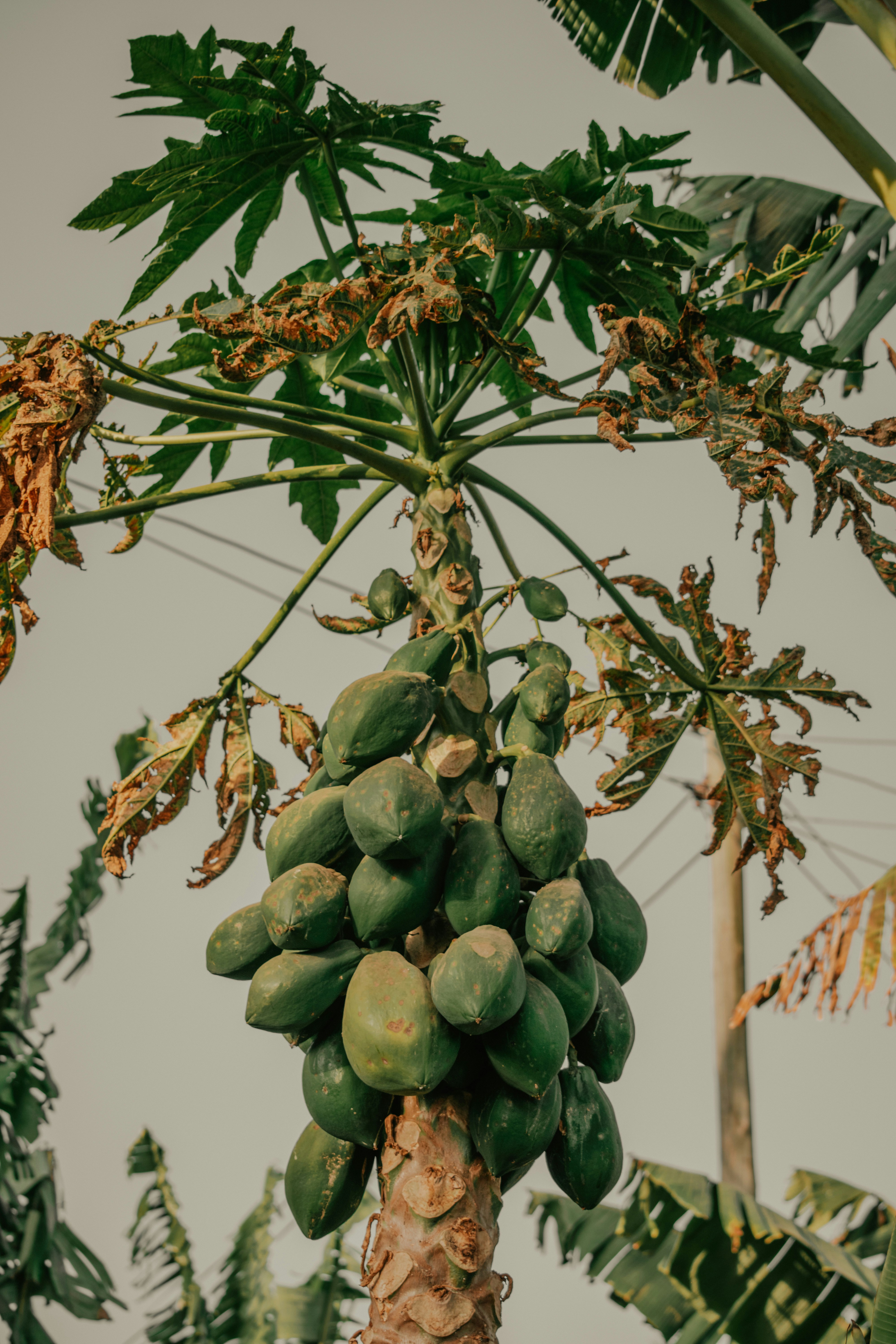 Photo by utunzajiwamazingira