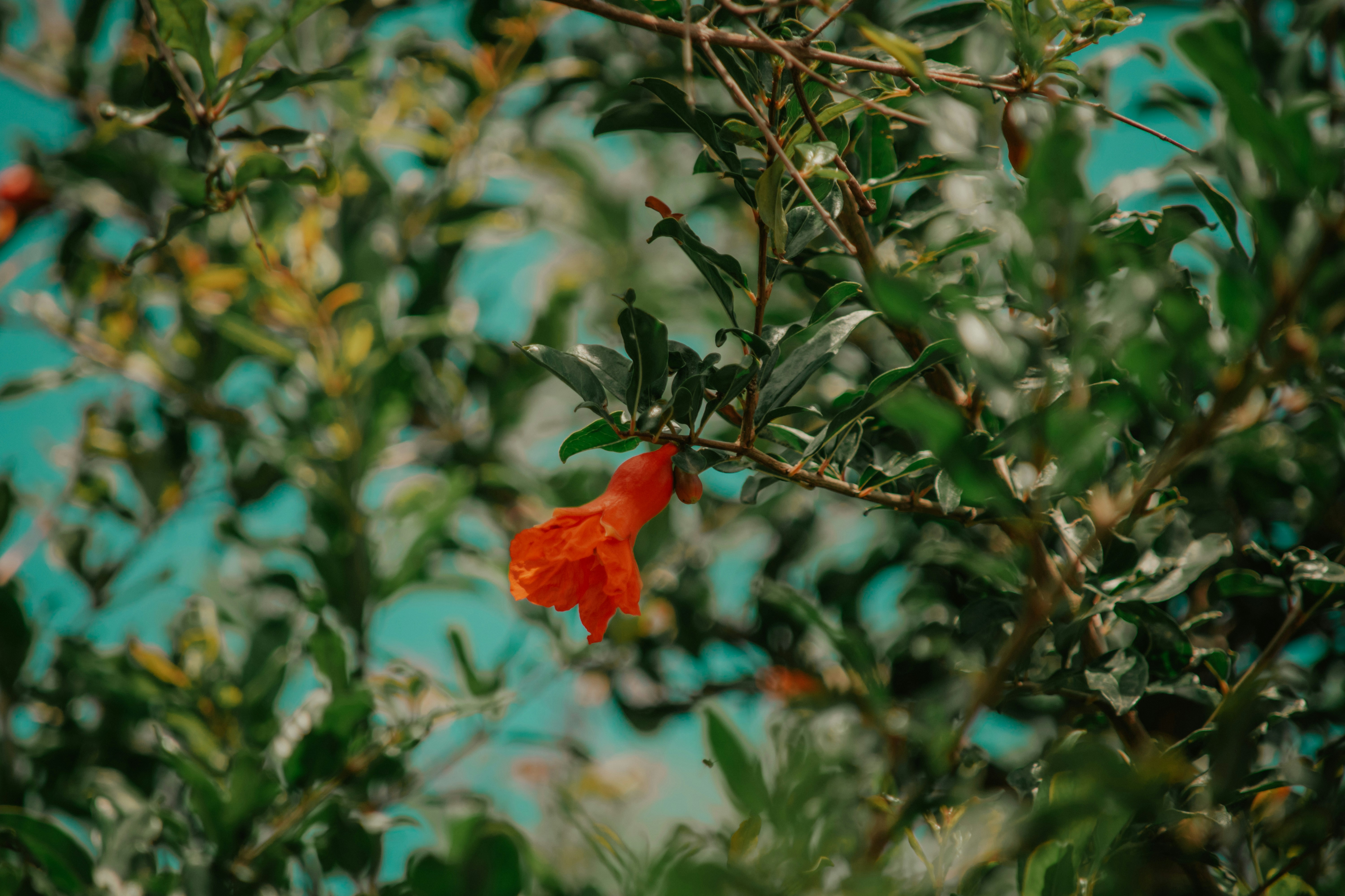 Photo by utunzajiwamazingira