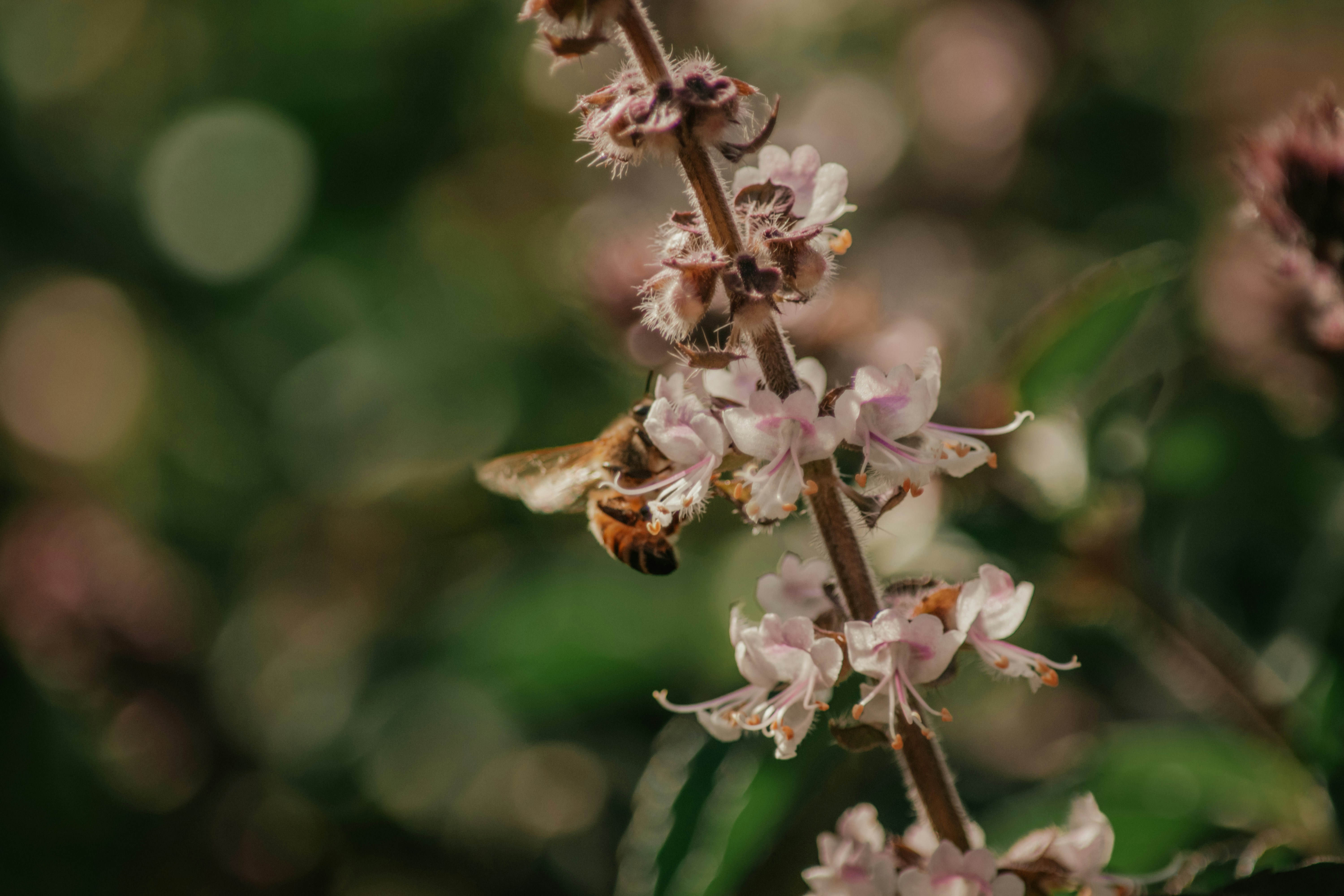 Photo by utunzajiwamazingira