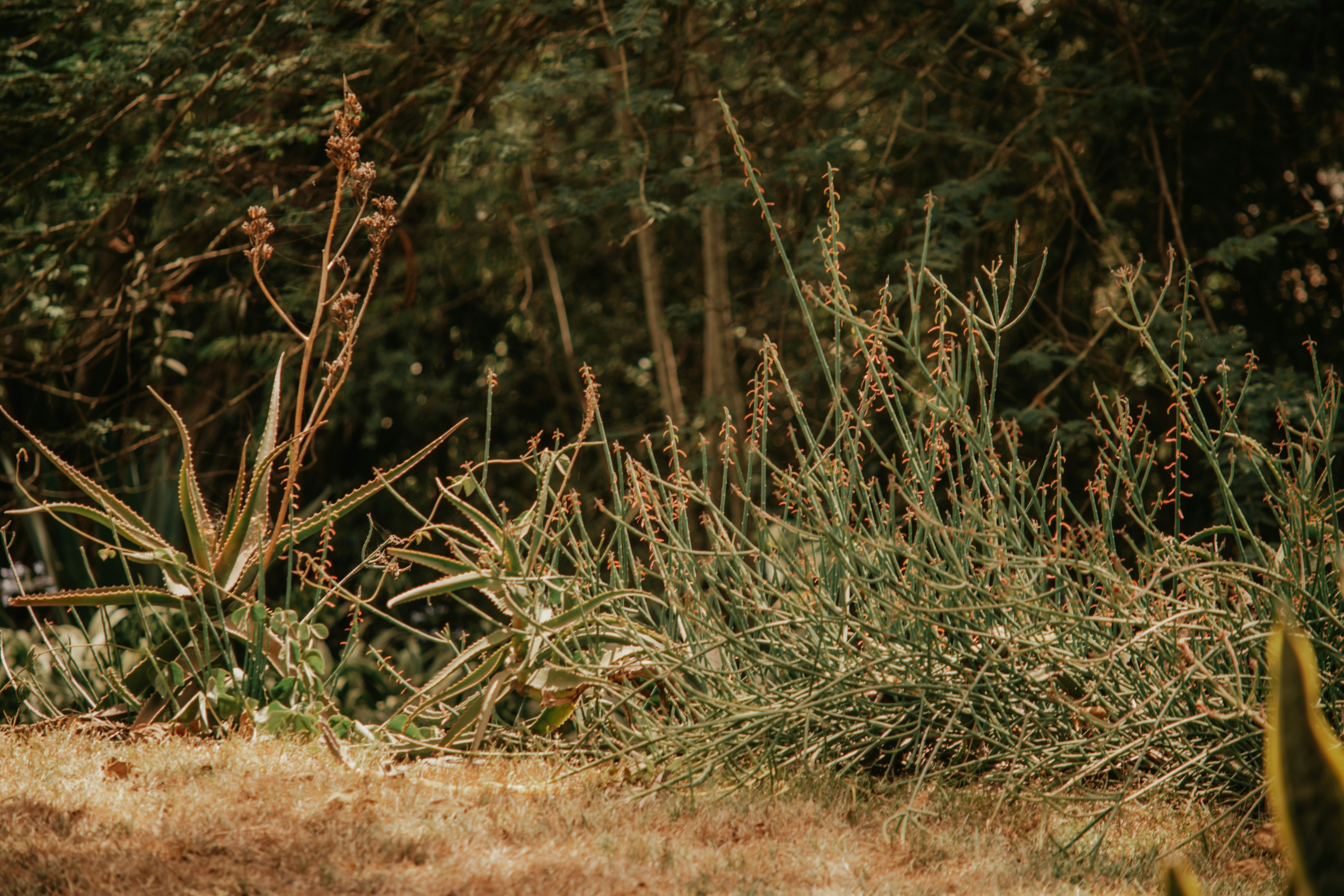 Photo by utunzajiwamazingira