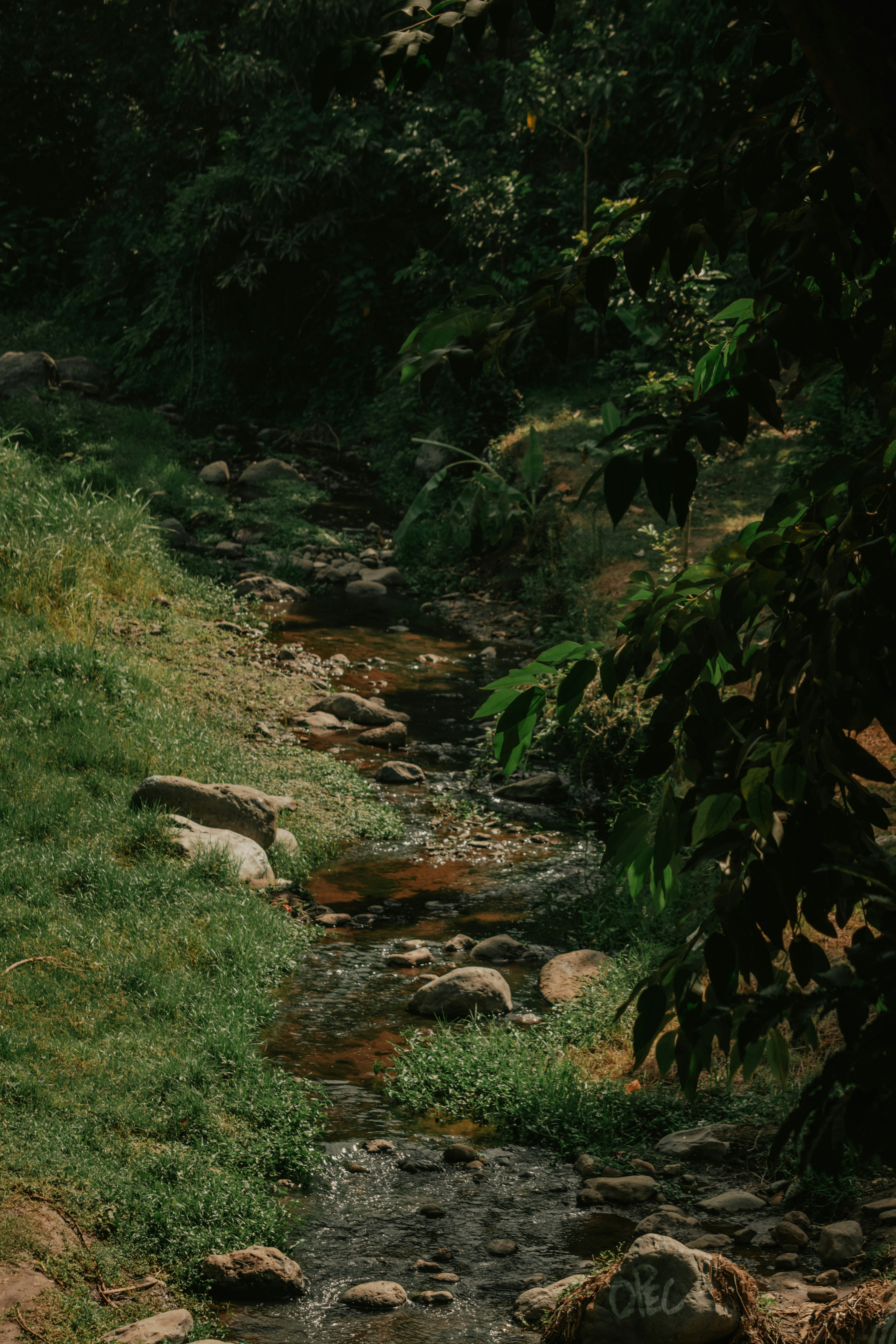 Photo by utunzajiwamazingira