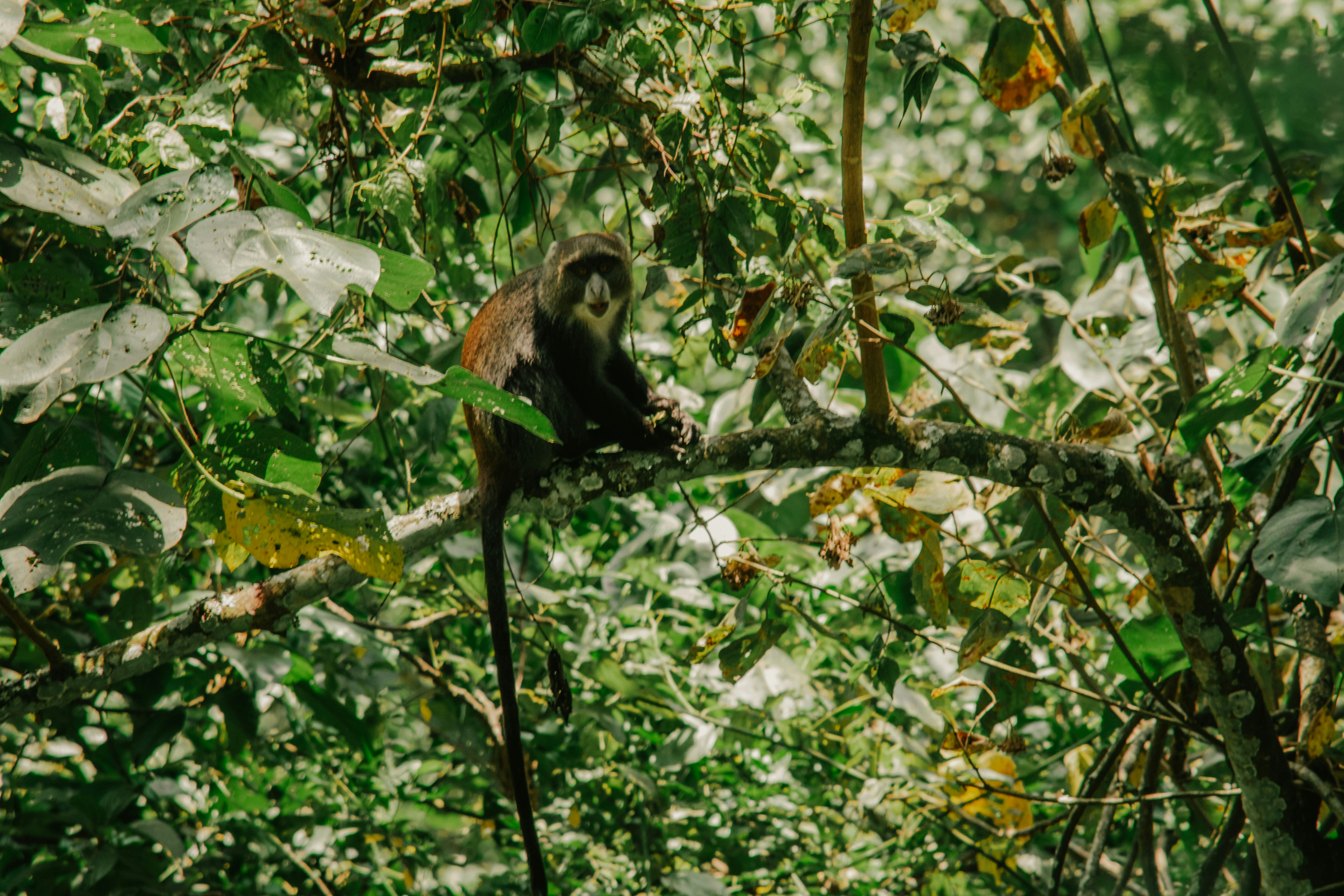 Photo by utunzajiwamazingira