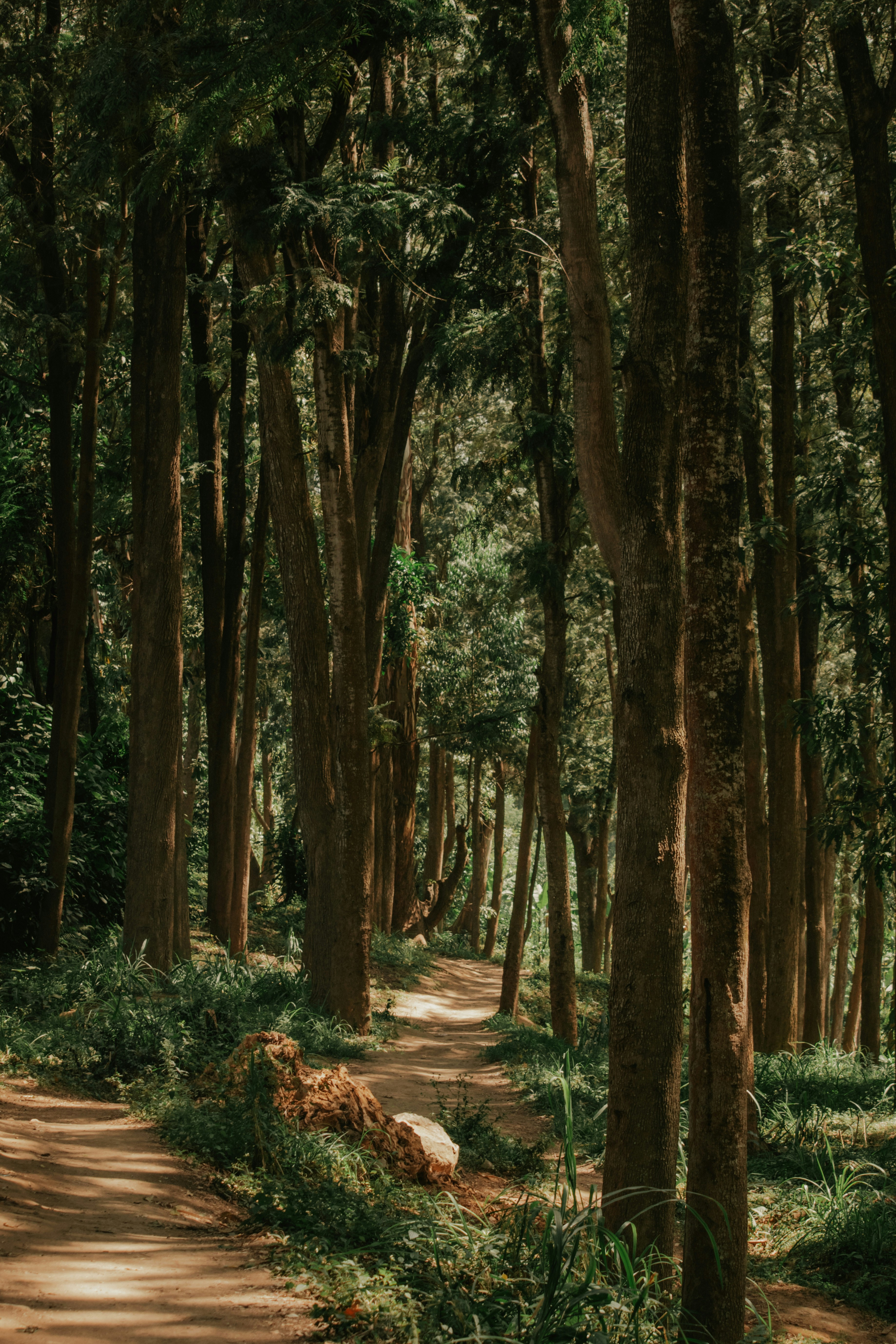 Photo by utunzajiwamazingira