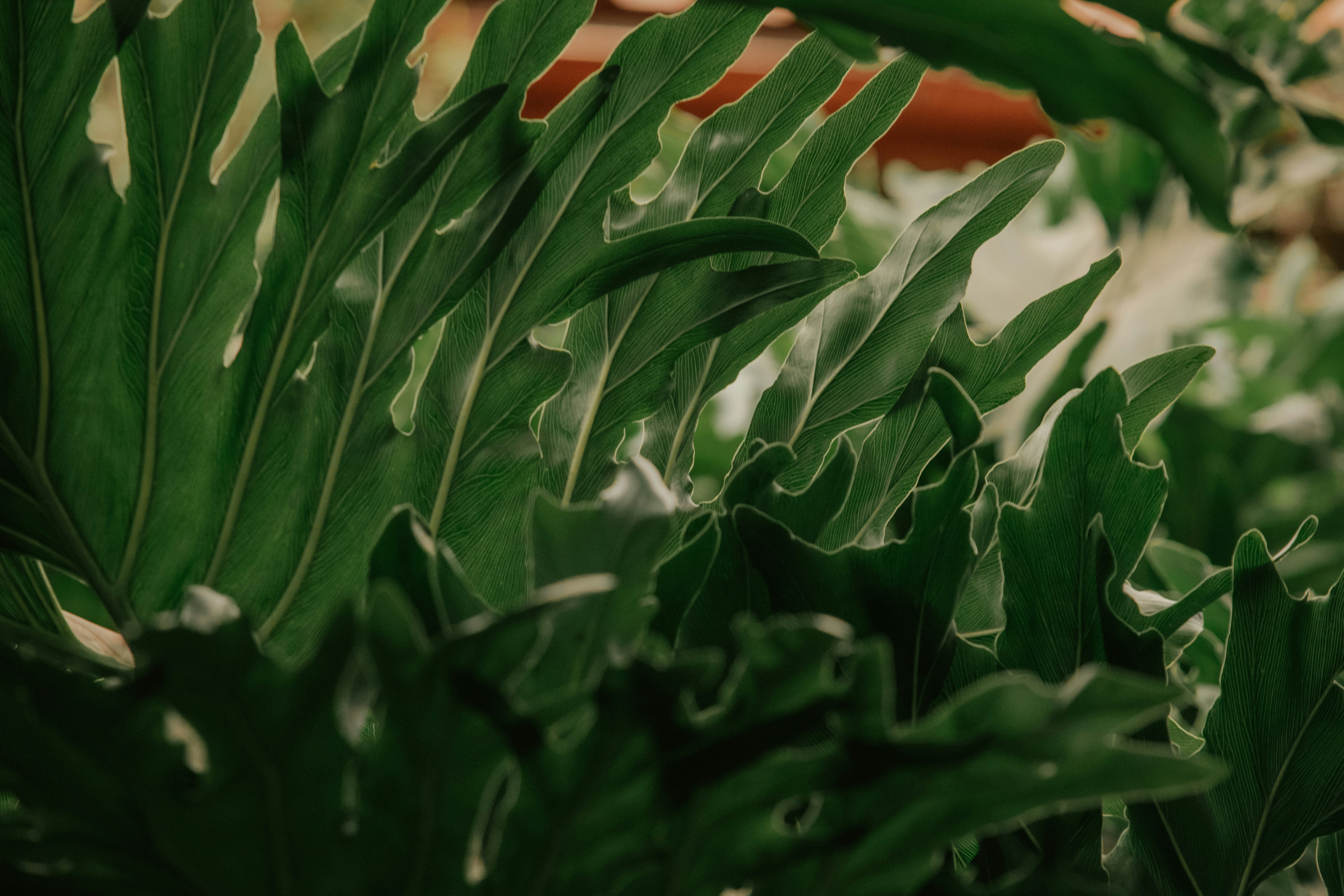 Photo by utunzajiwamazingira