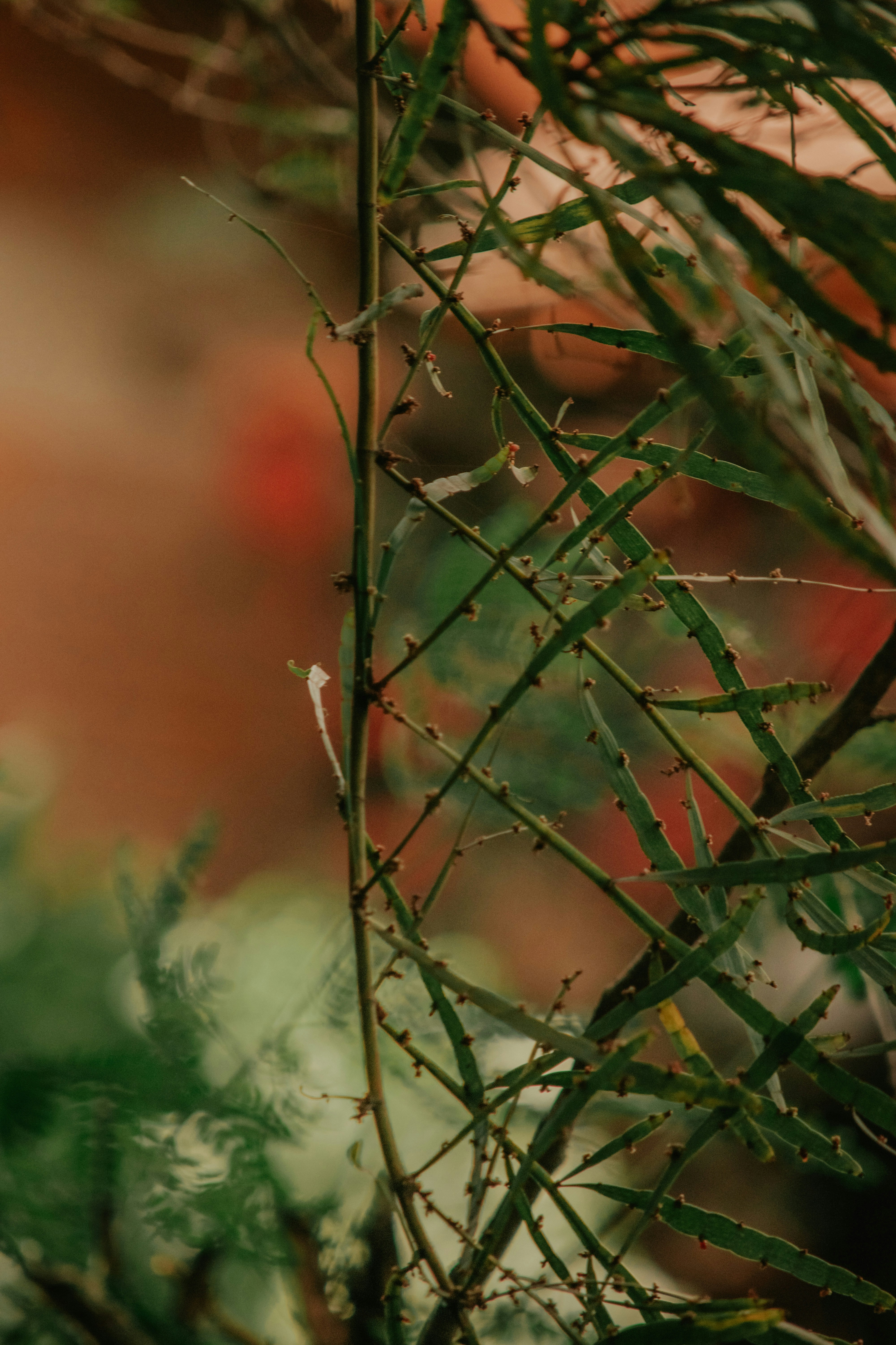 Photo by utunzajiwamazingira