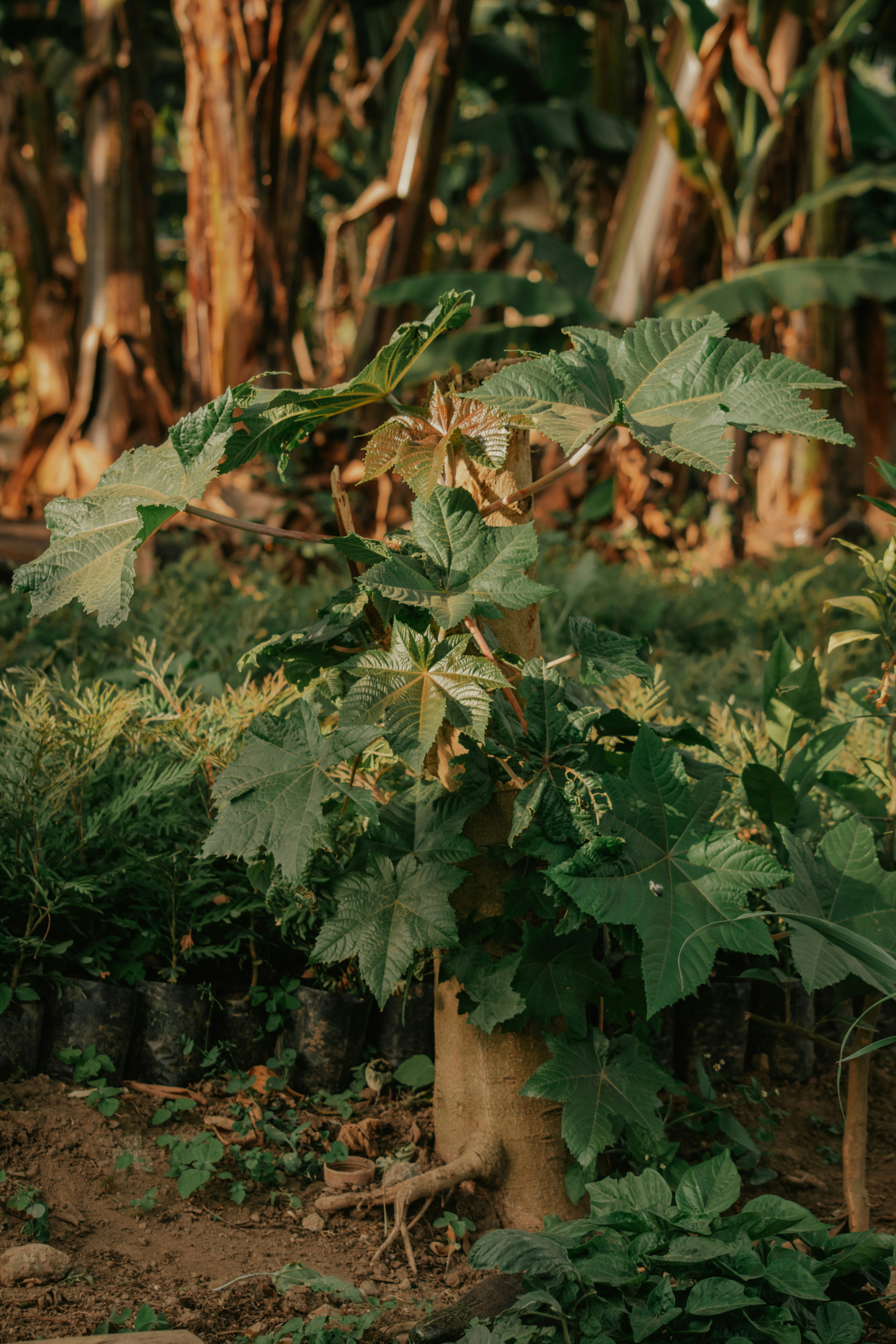 Photo by utunzajiwamazingira