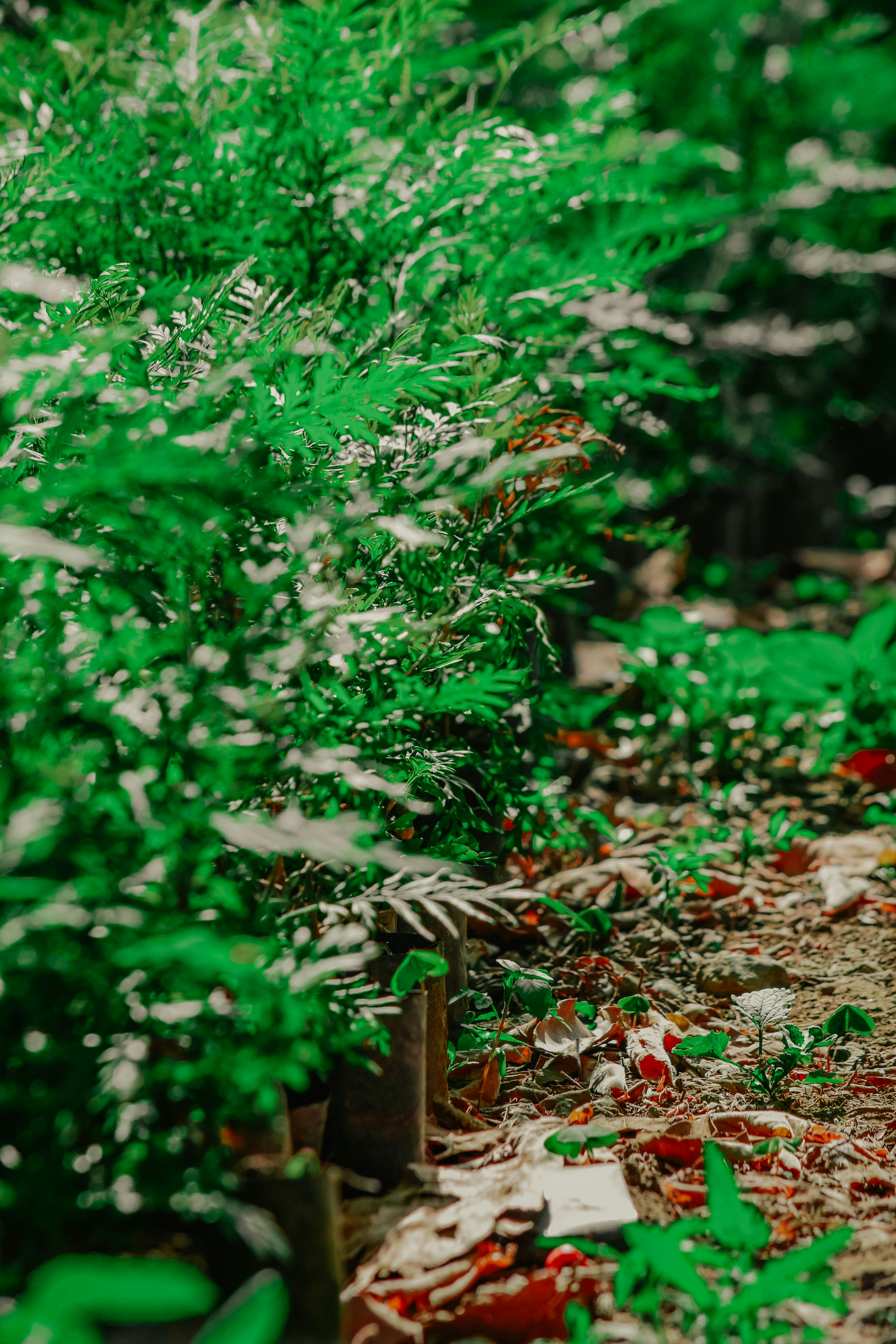 Photo by utunzajiwamazingira