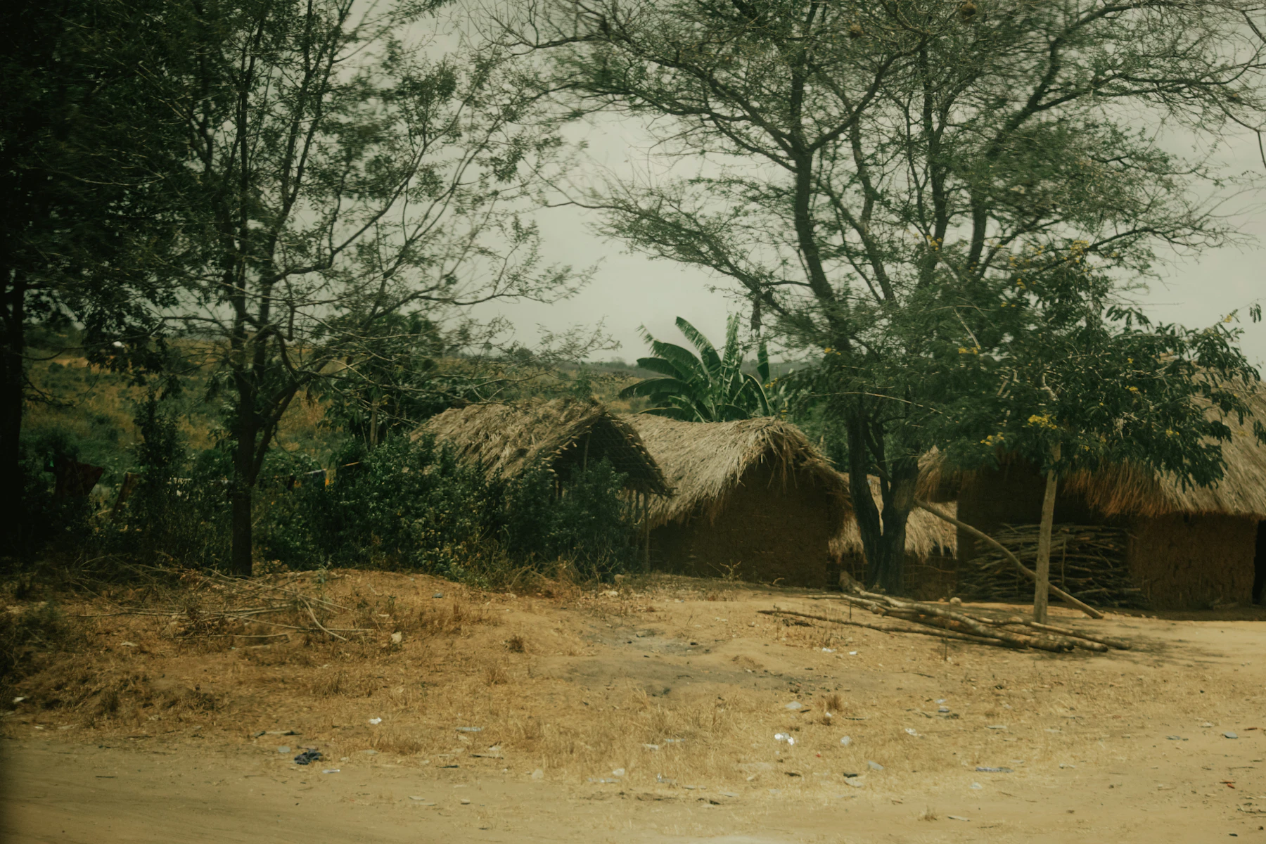 Dirt road leading through a rural village in Tanzania