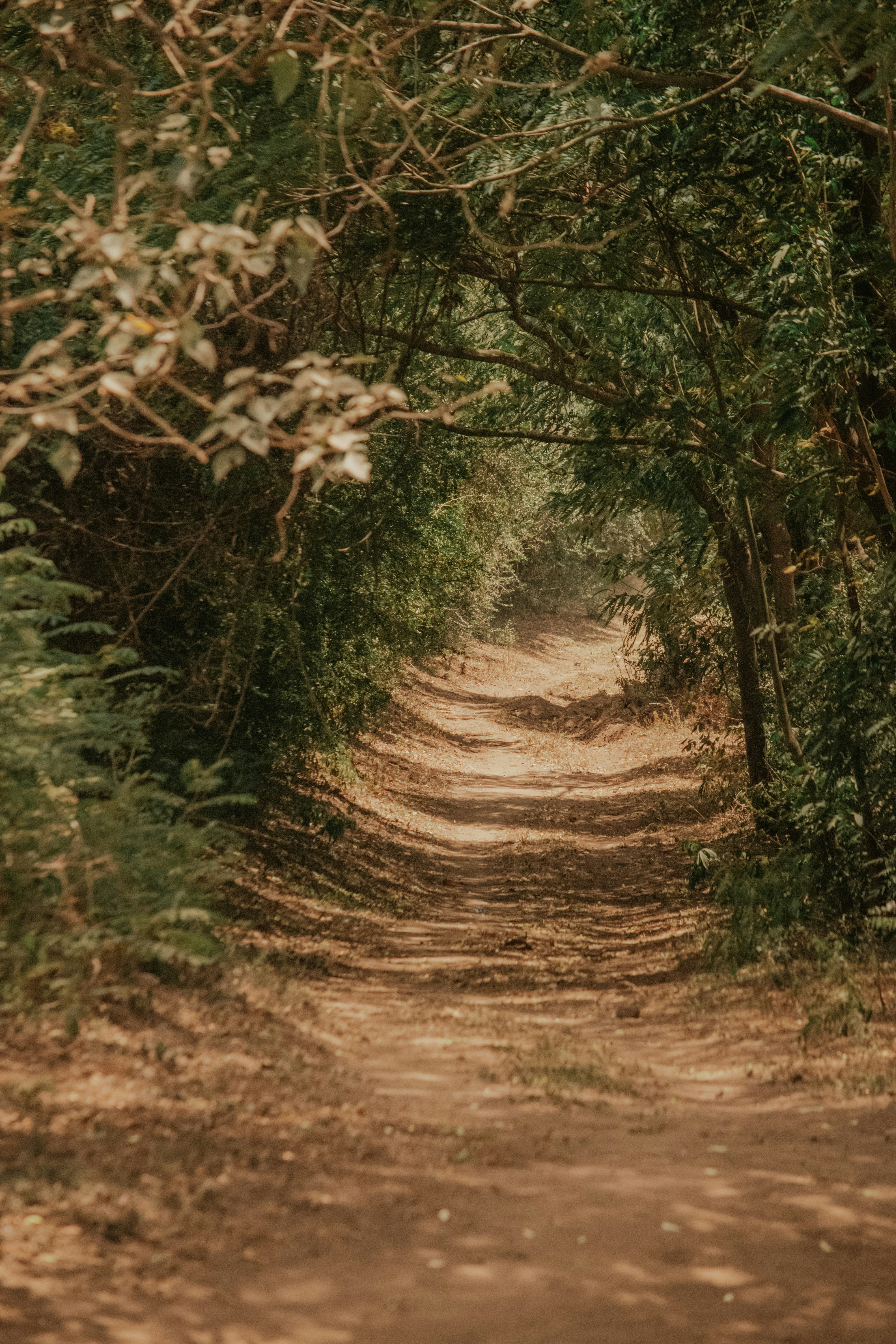 Photo by utunzajiwamazingira