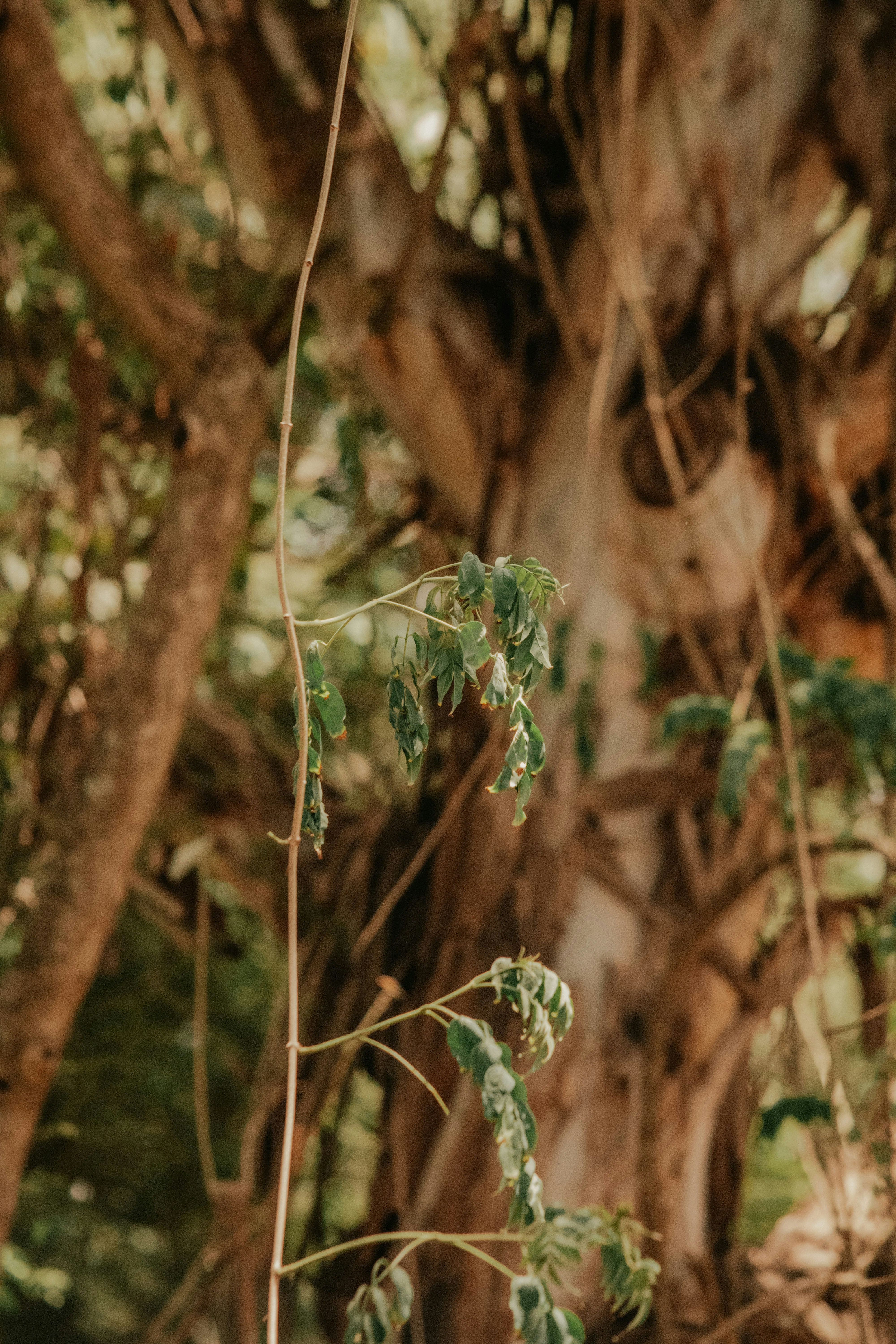 Photo by utunzajiwamazingira