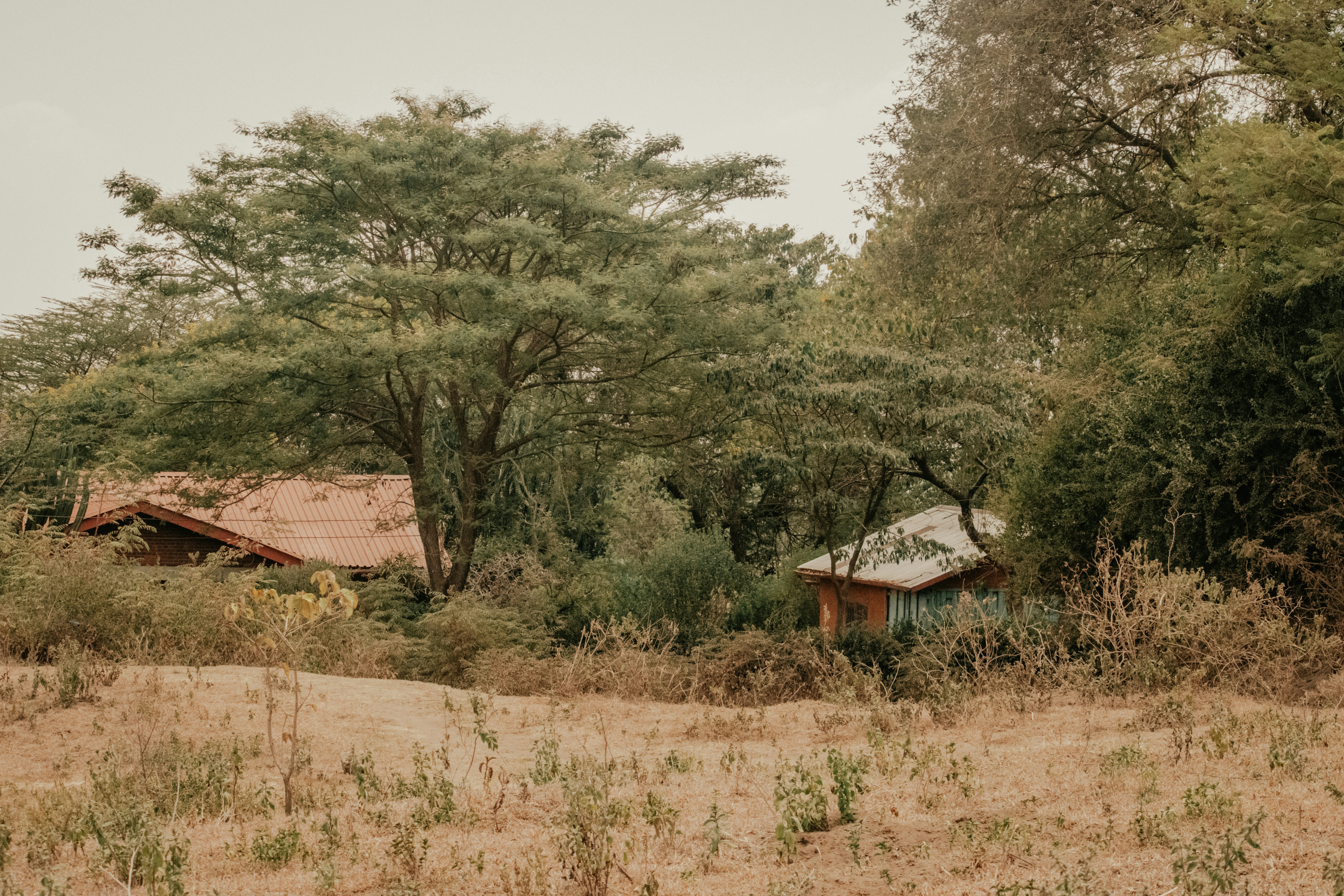 Photo by utunzajiwamazingira