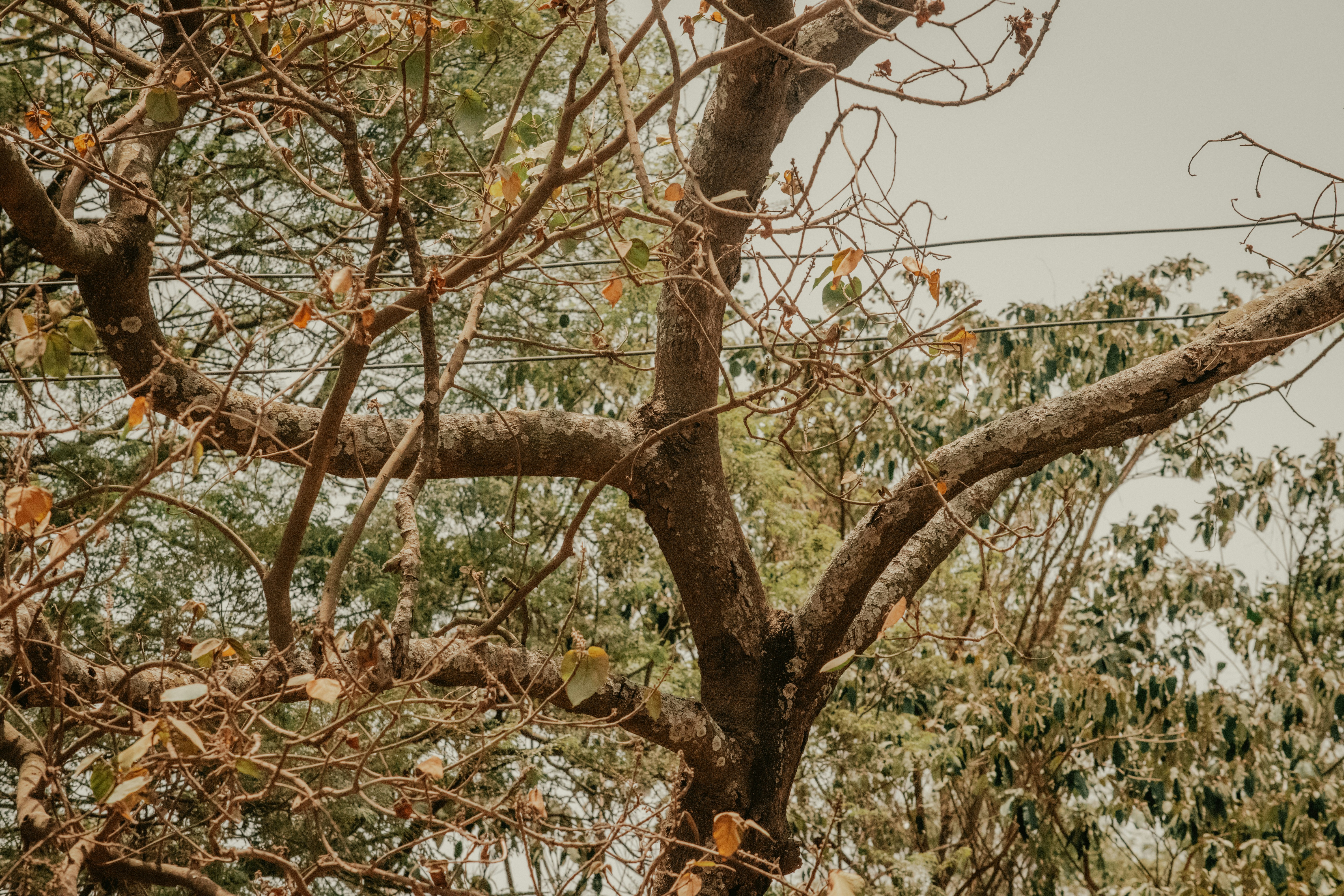 Photo by utunzajiwamazingira