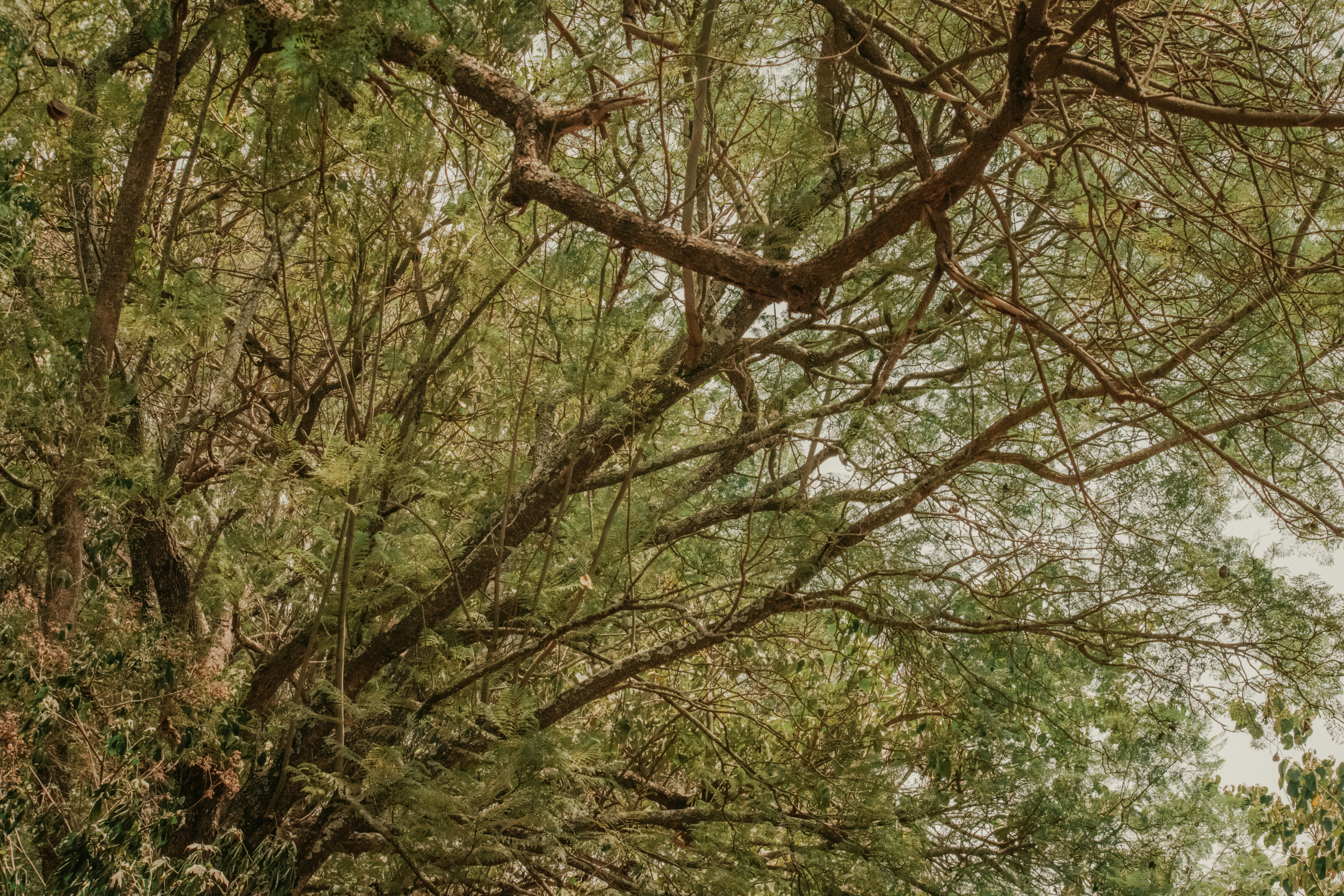 Photo by utunzajiwamazingira