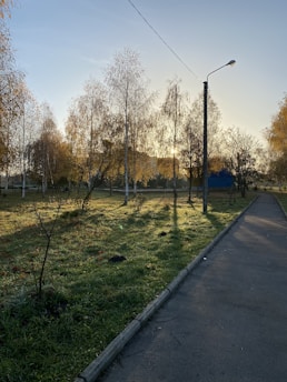 A serene community park with manicured lawns and shaded walking paths under golden sunlight.