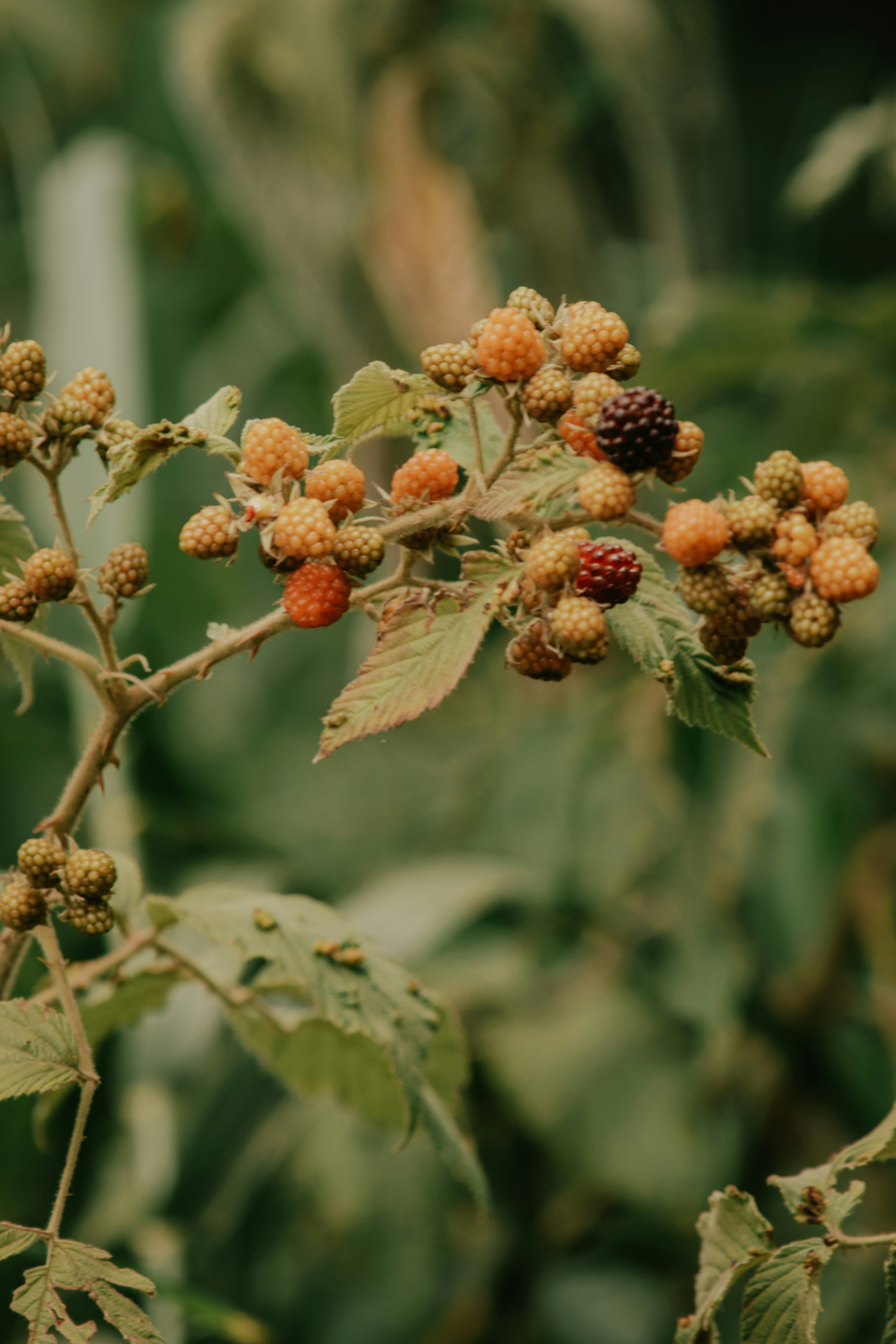 Photo by utunzajiwamazingira