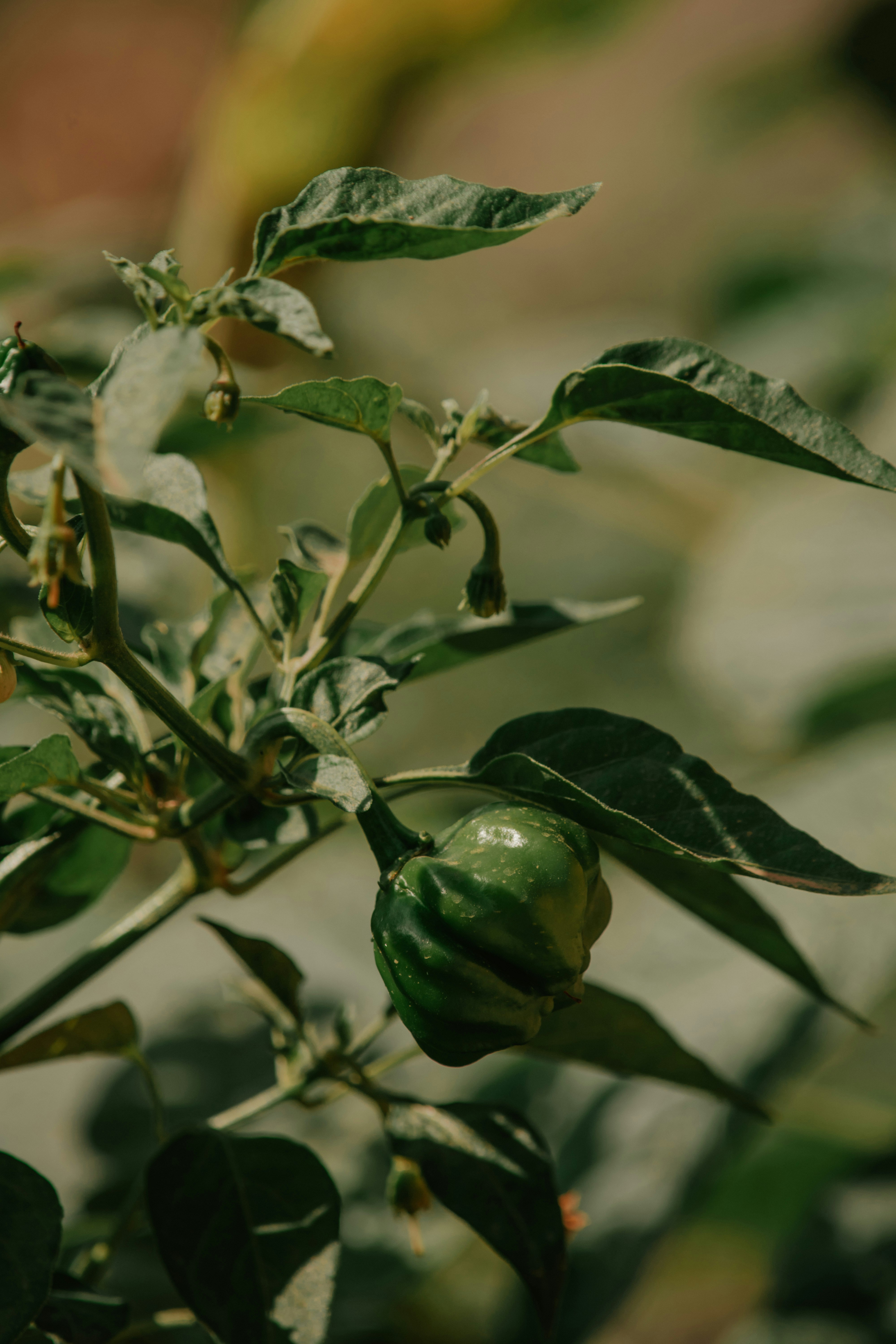 Photo by utunzajiwamazingira