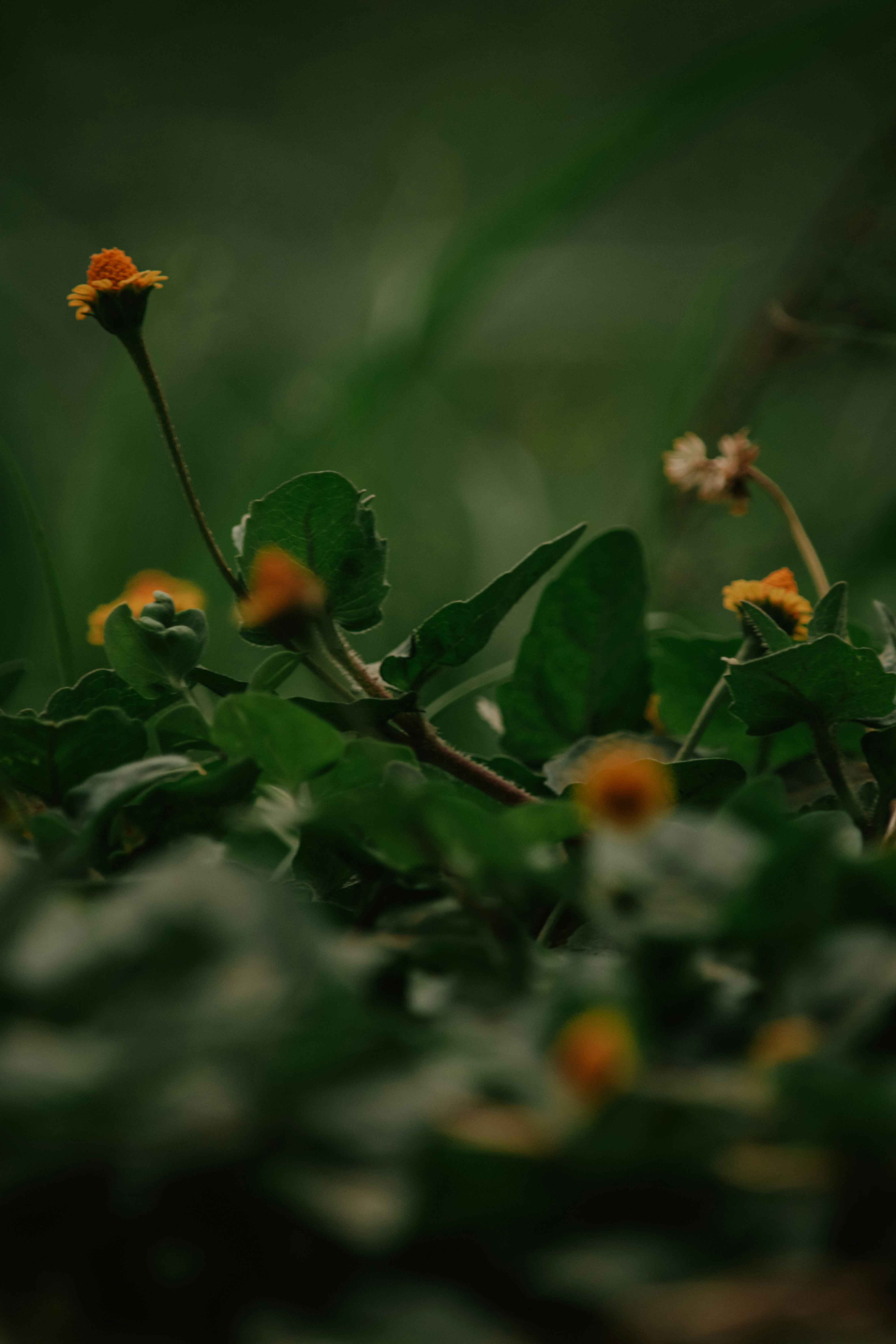 Photo by utunzajiwamazingira