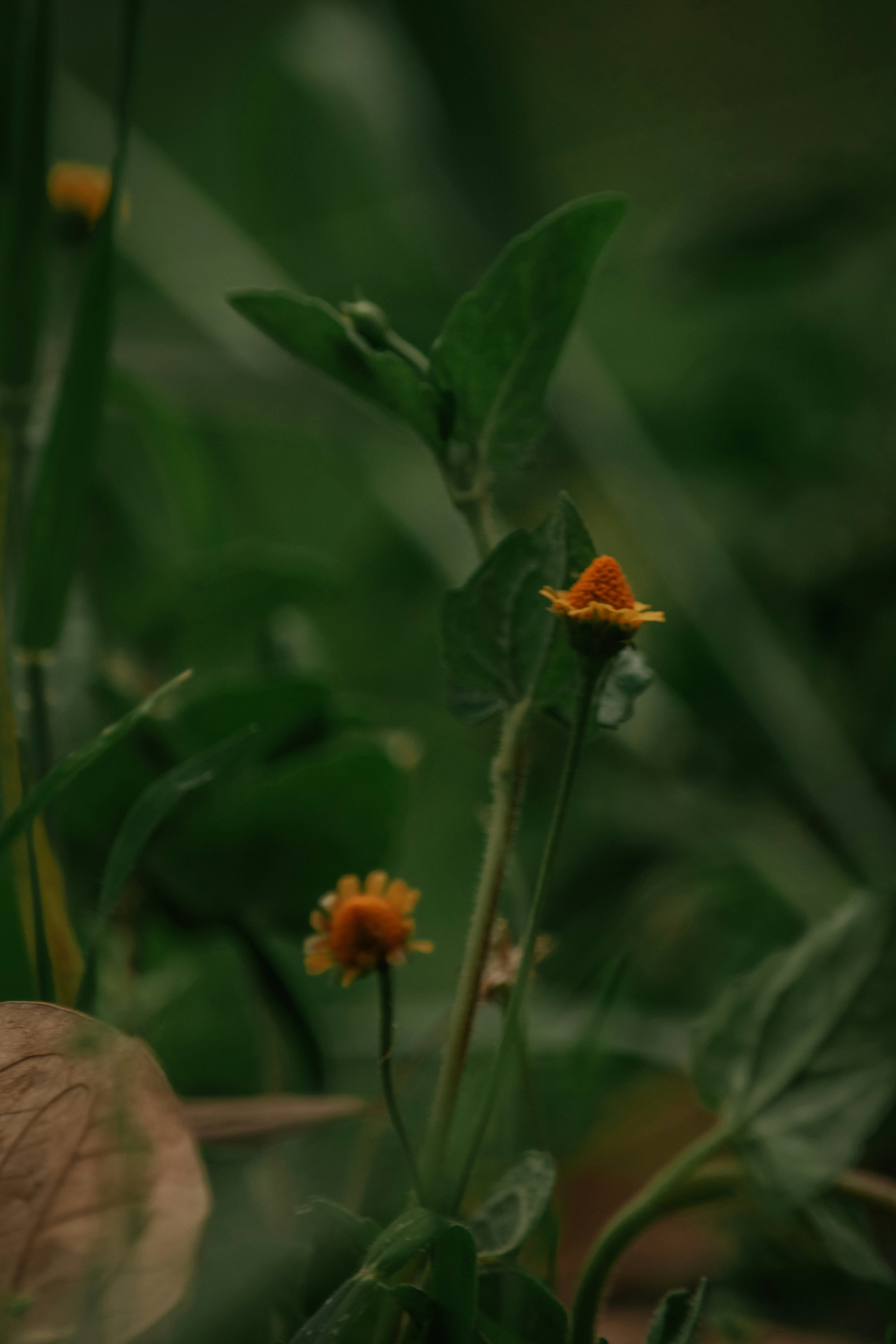 Photo by utunzajiwamazingira