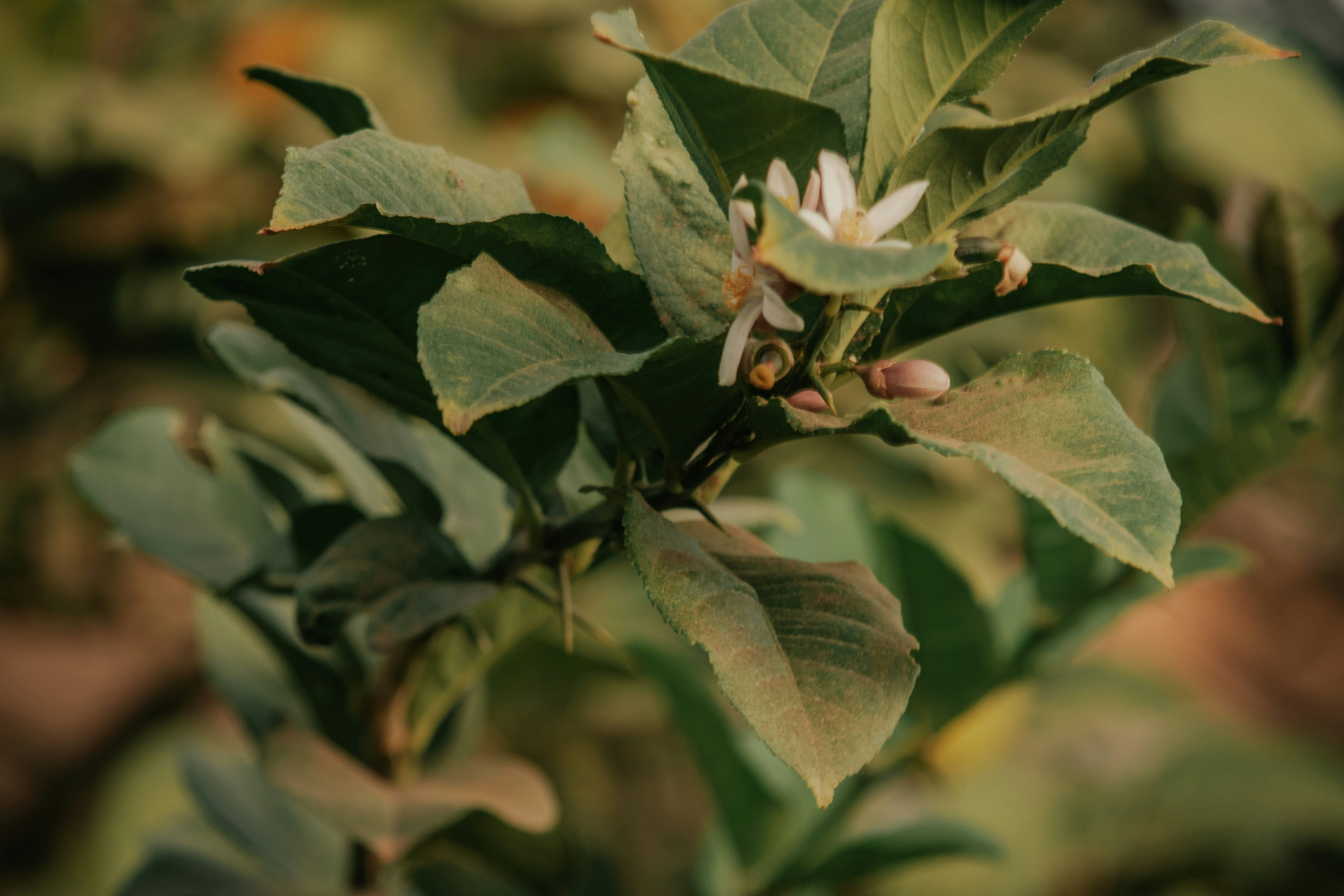 Photo by utunzajiwamazingira