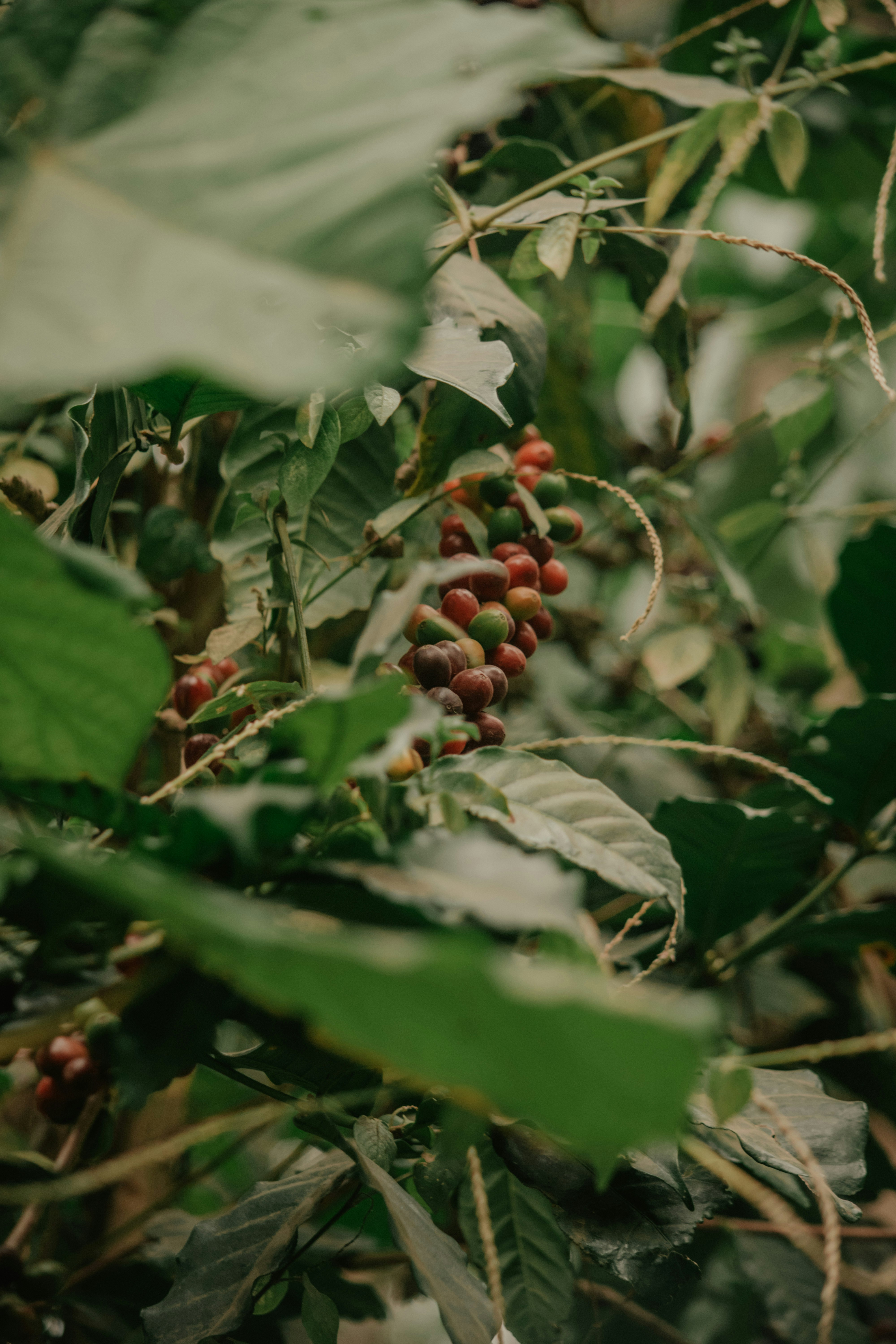 Photo by utunzajiwamazingira