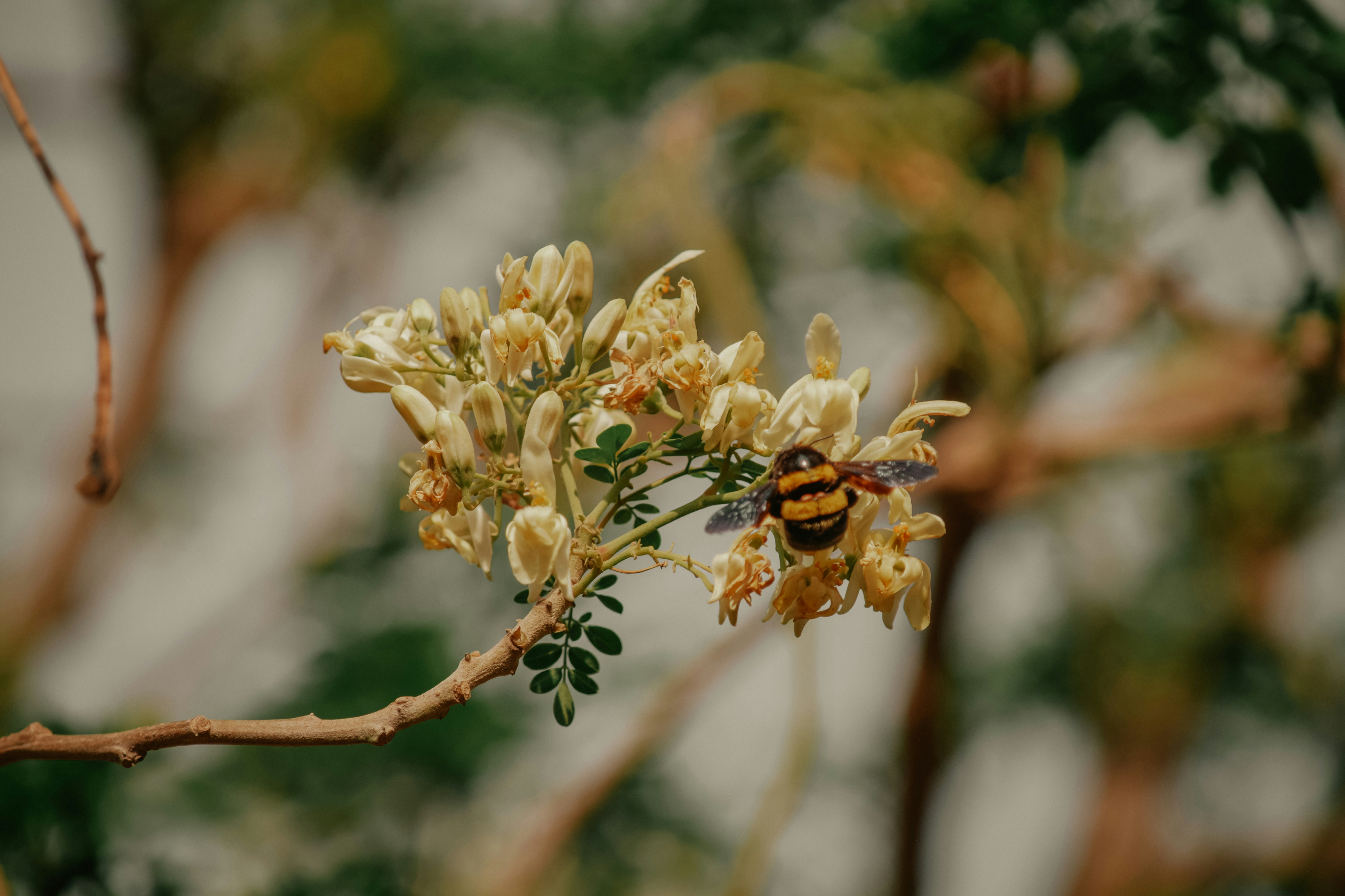 Photo by utunzajiwamazingira