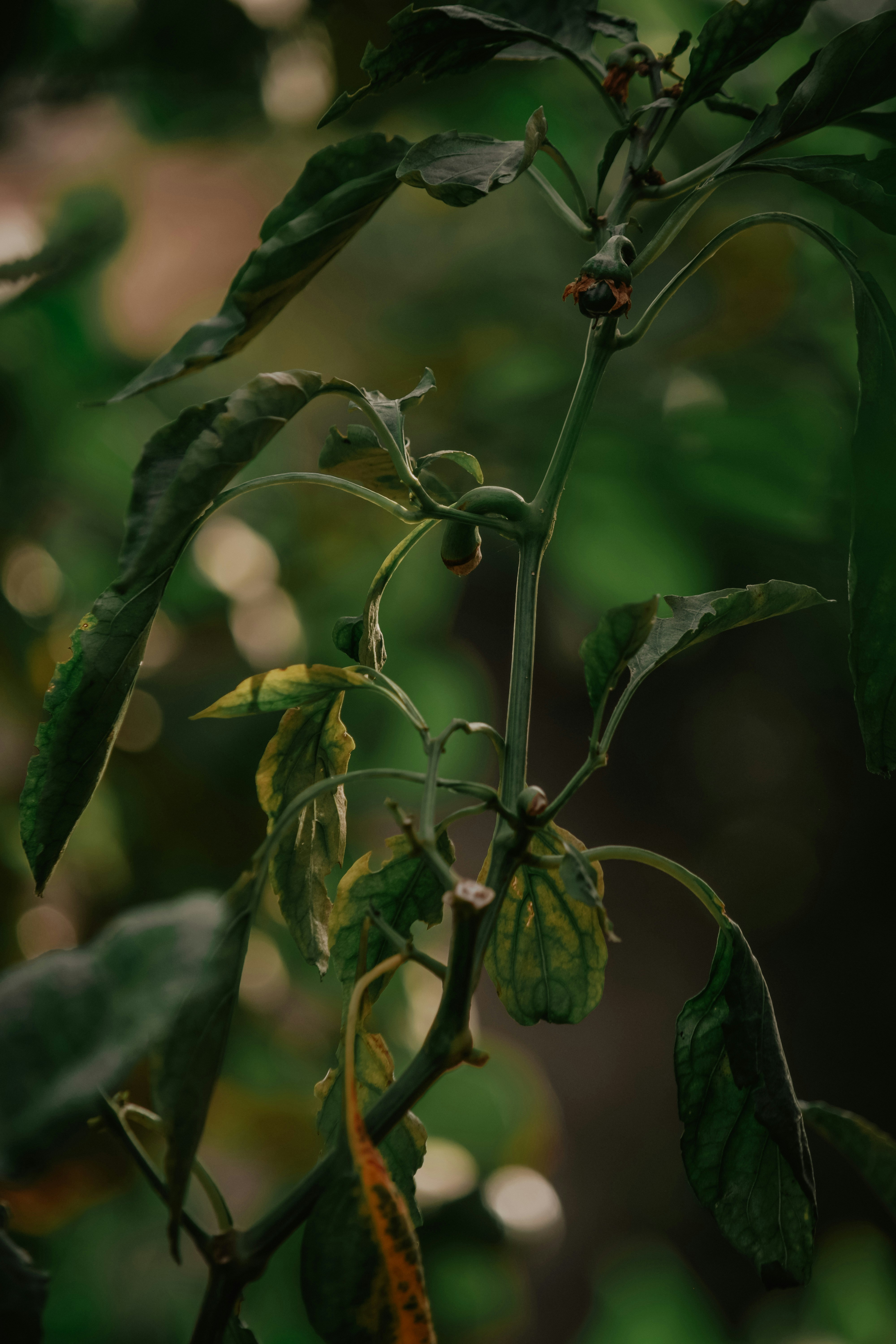 Photo by utunzajiwamazingira