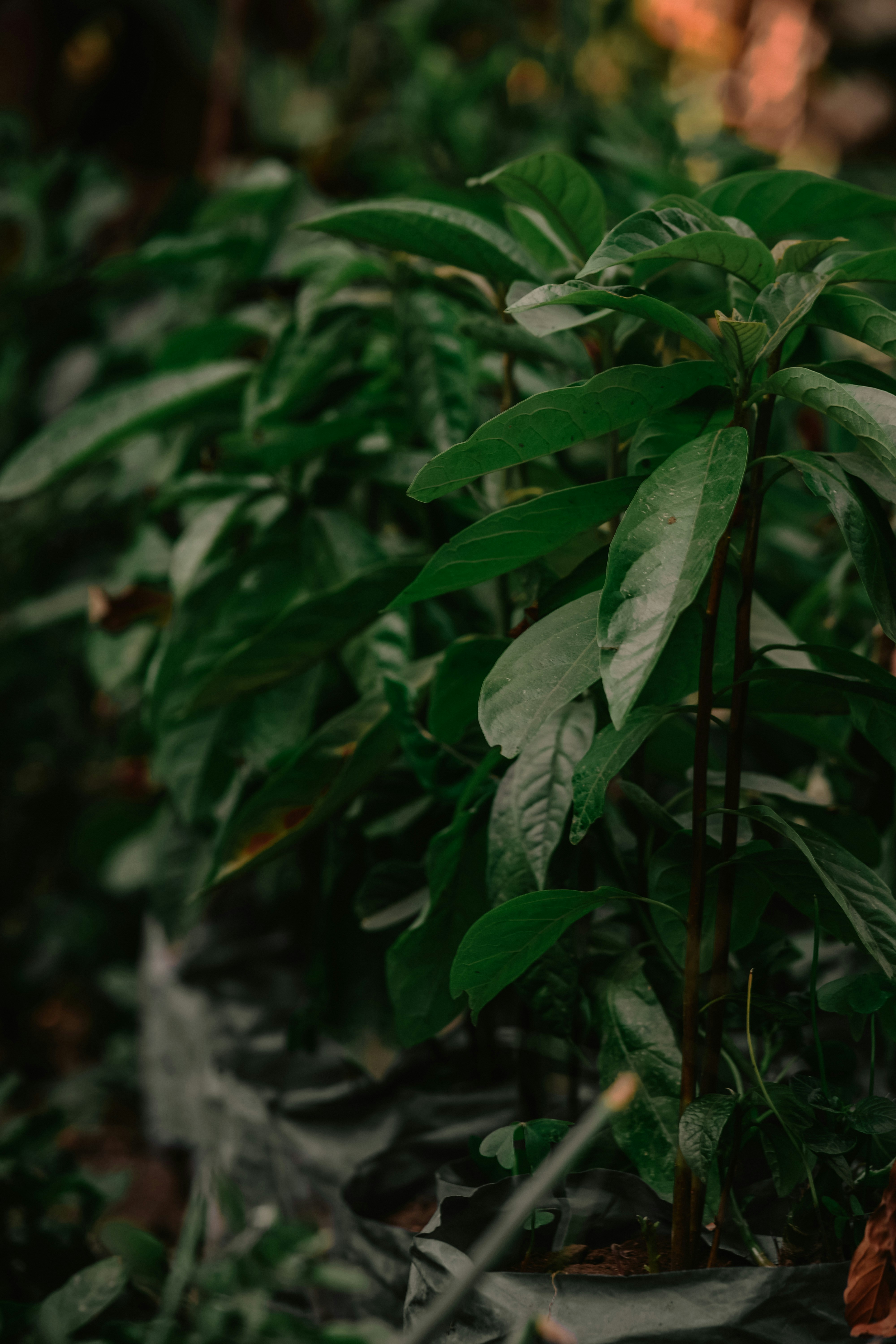 Photo by utunzajiwamazingira