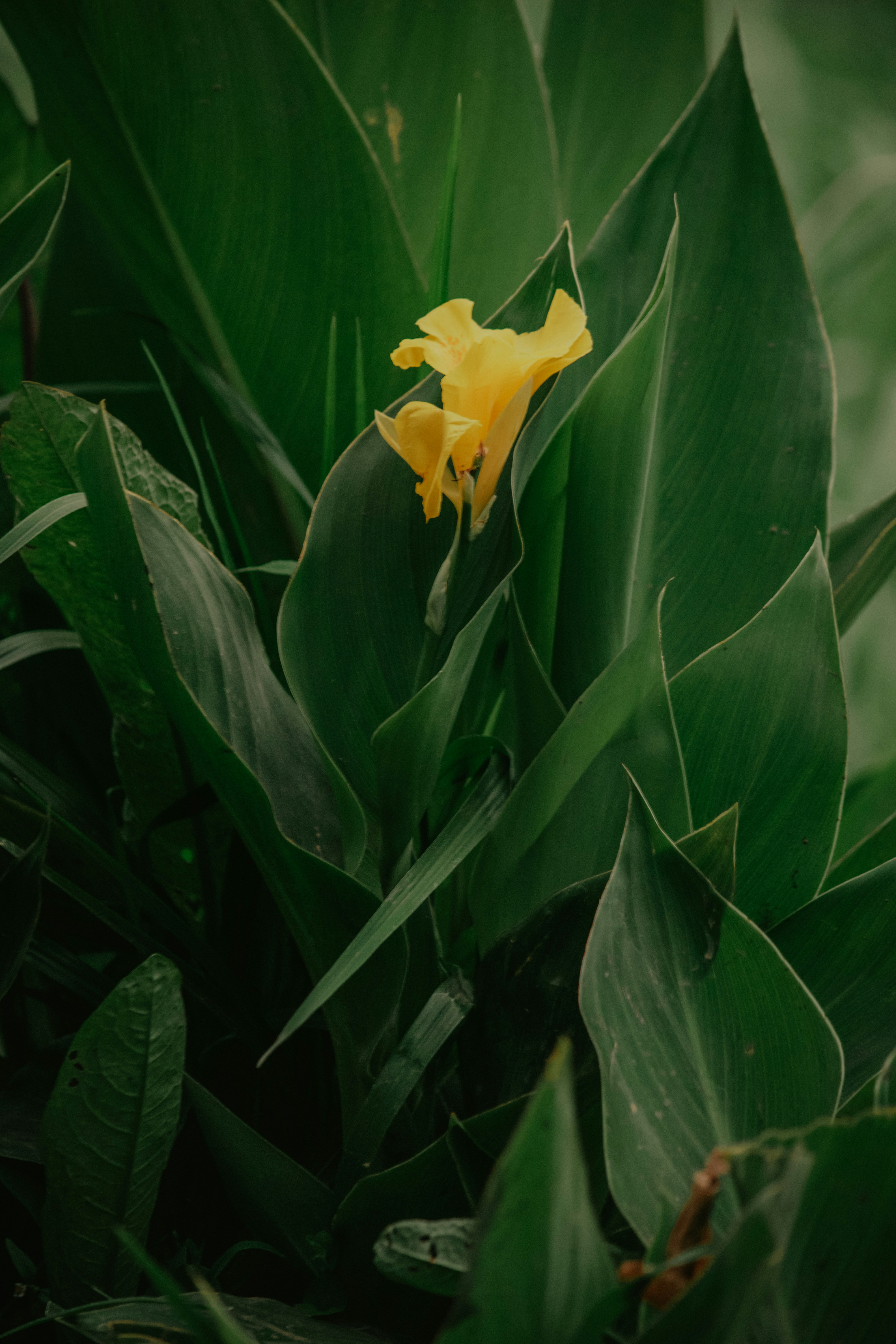 Photo by utunzajiwamazingira