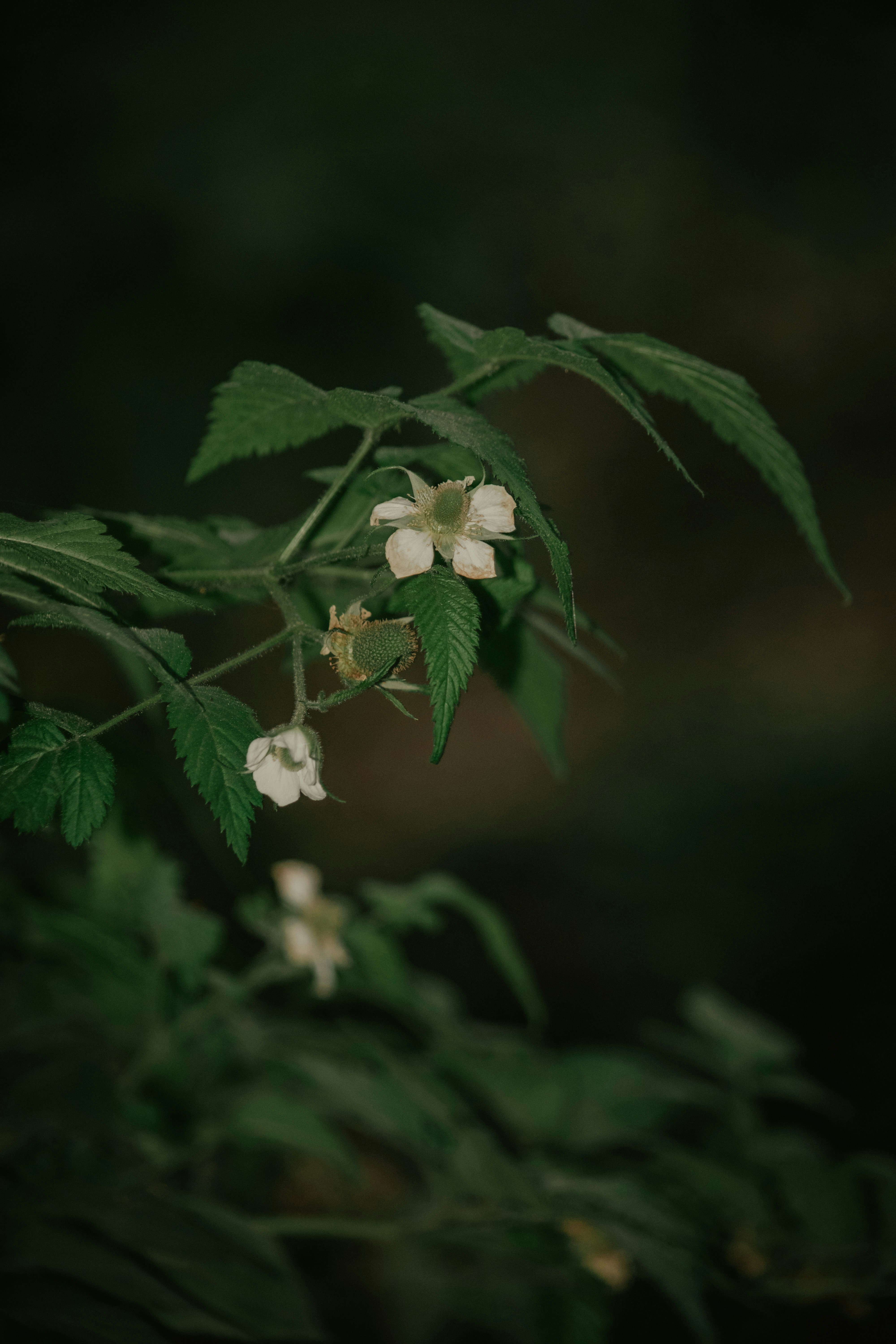 Photo by utunzajiwamazingira