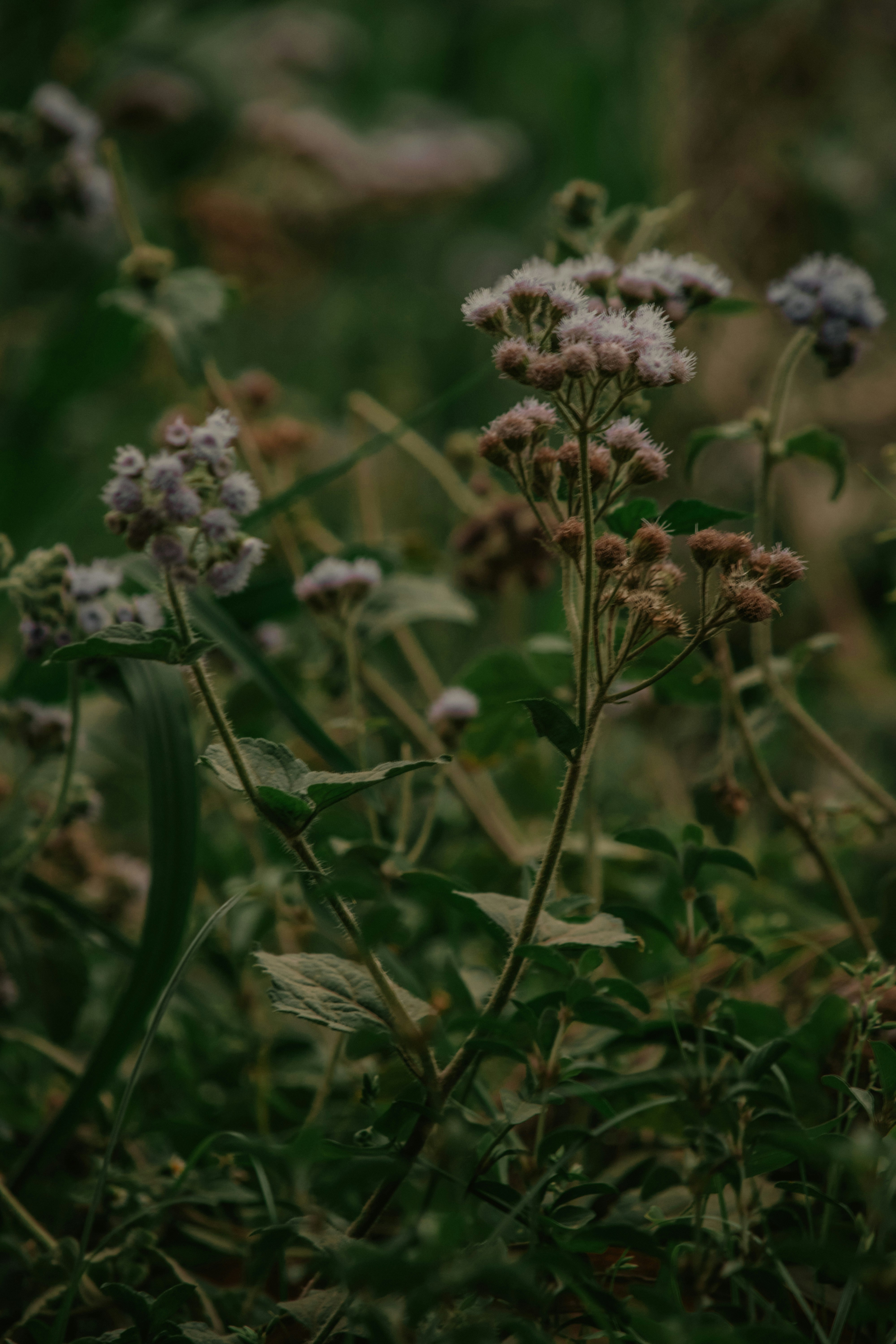 Photo by utunzajiwamazingira