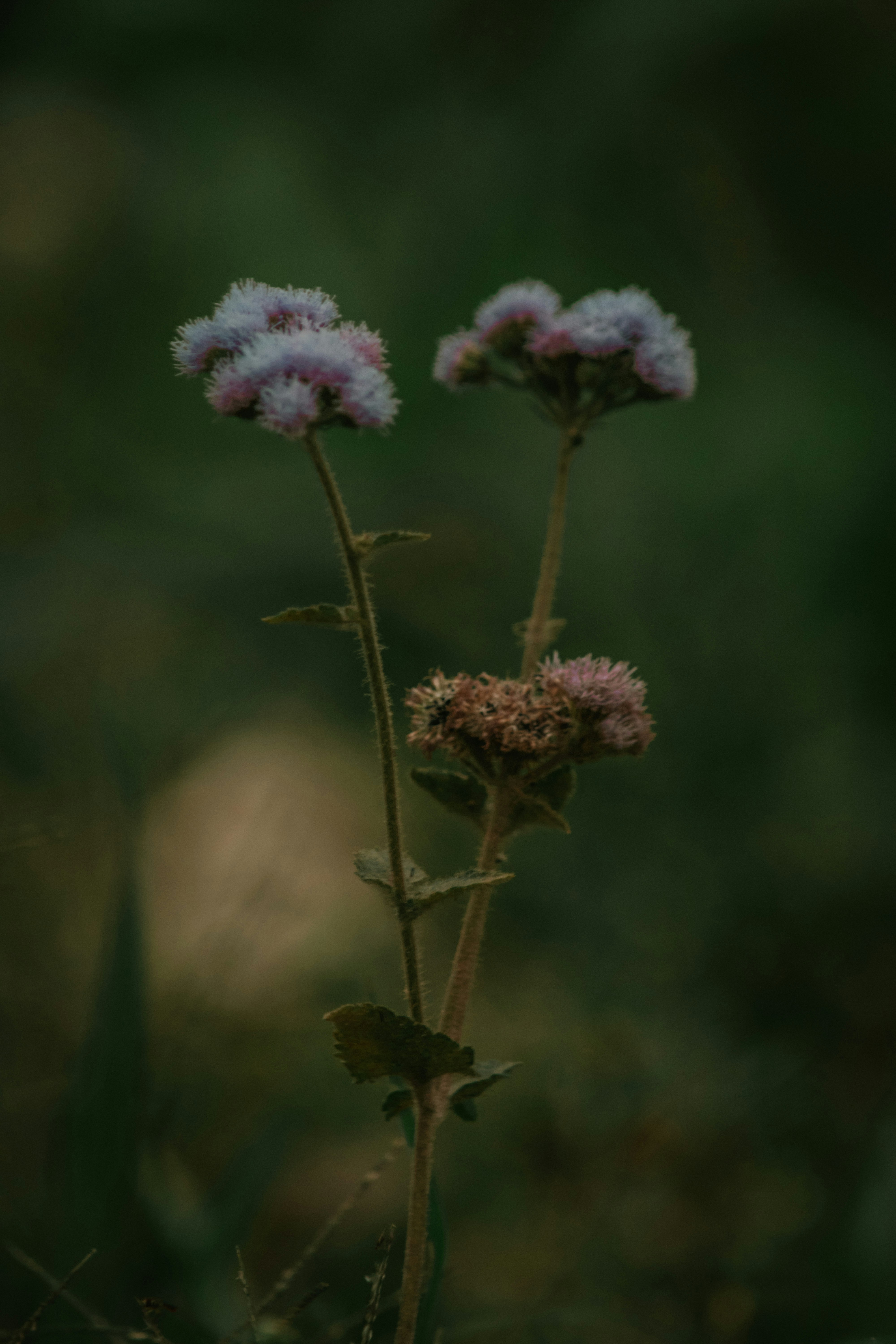 Photo by utunzajiwamazingira