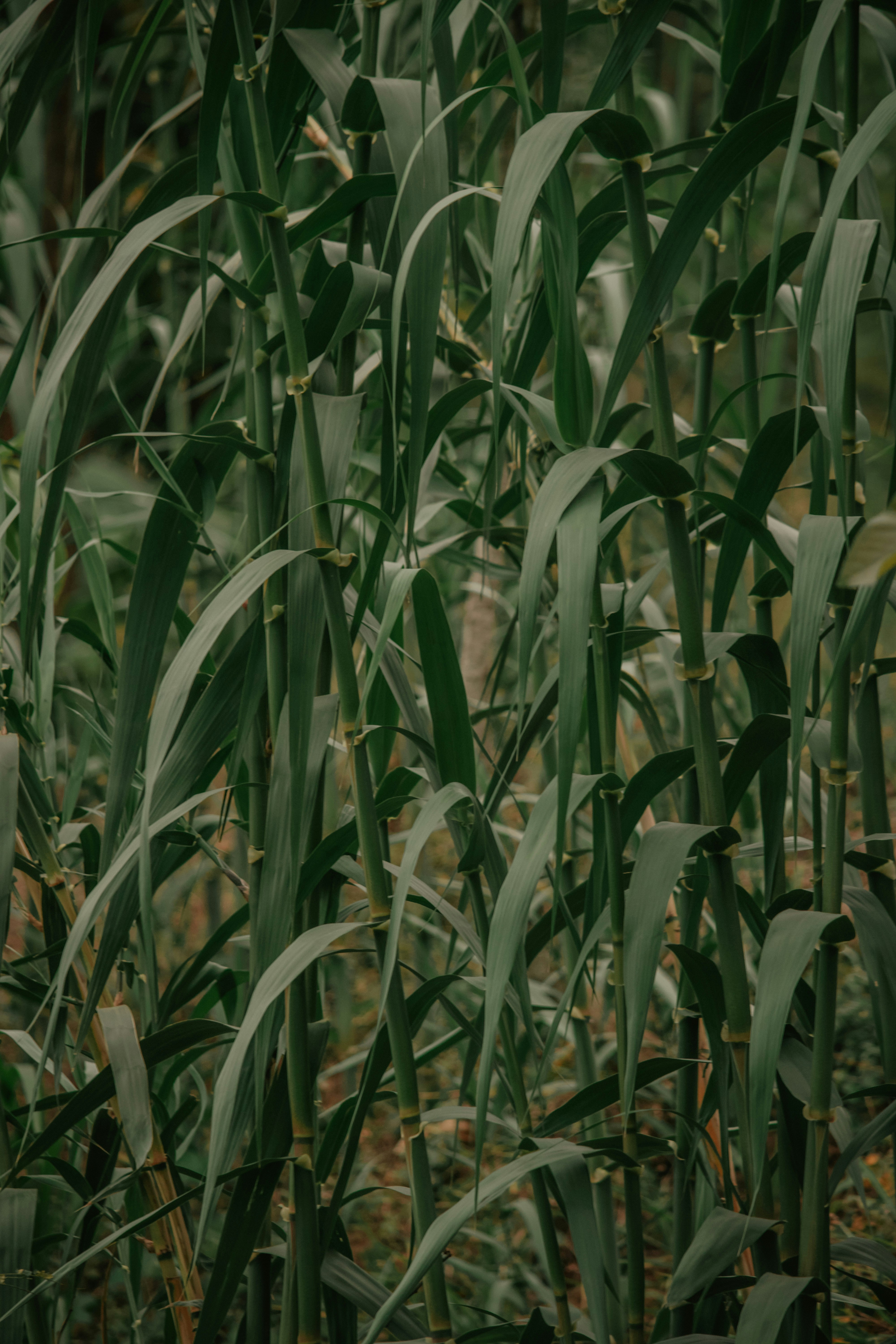 Photo by utunzajiwamazingira