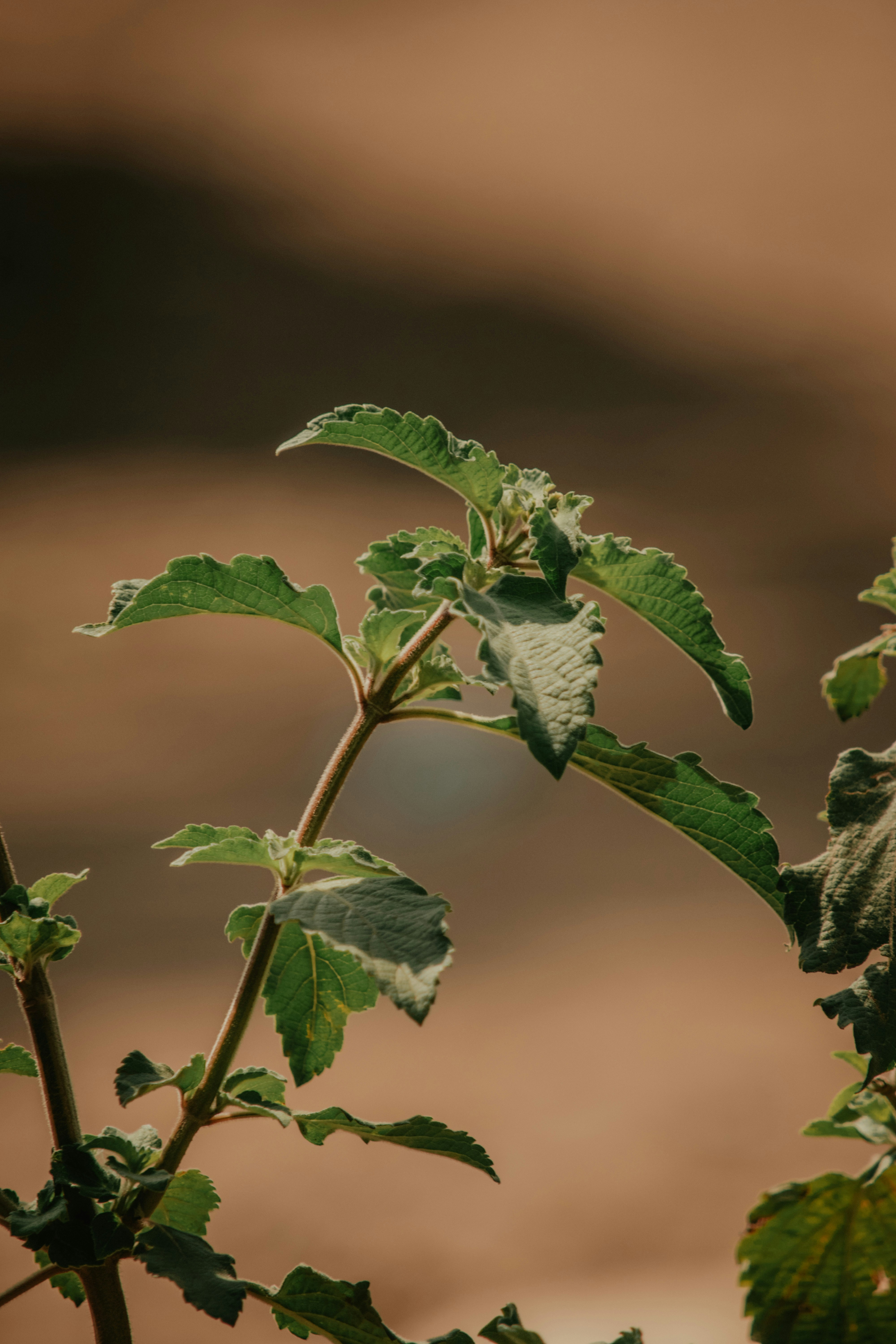 Photo by utunzajiwamazingira