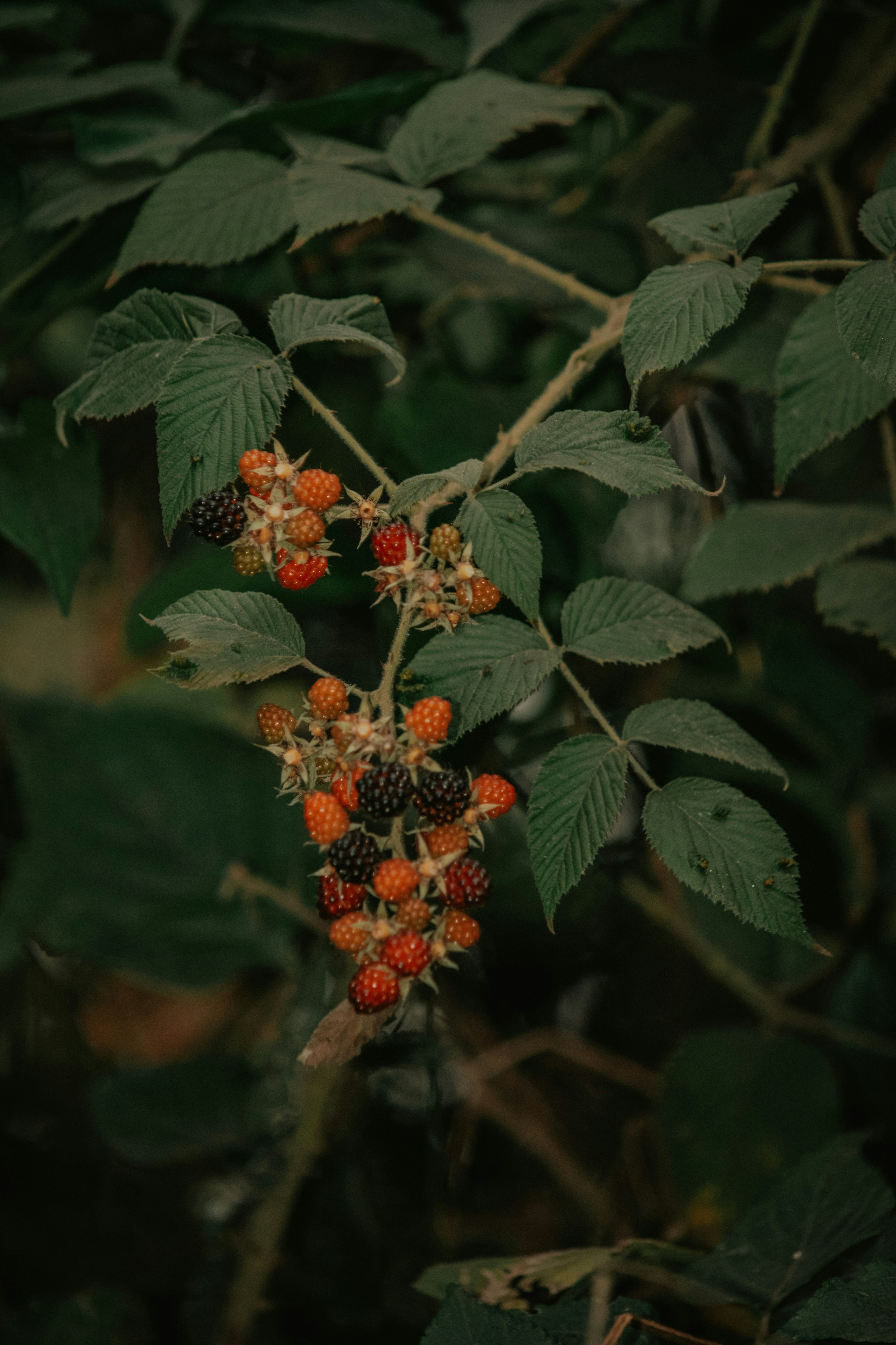 Photo by utunzajiwamazingira