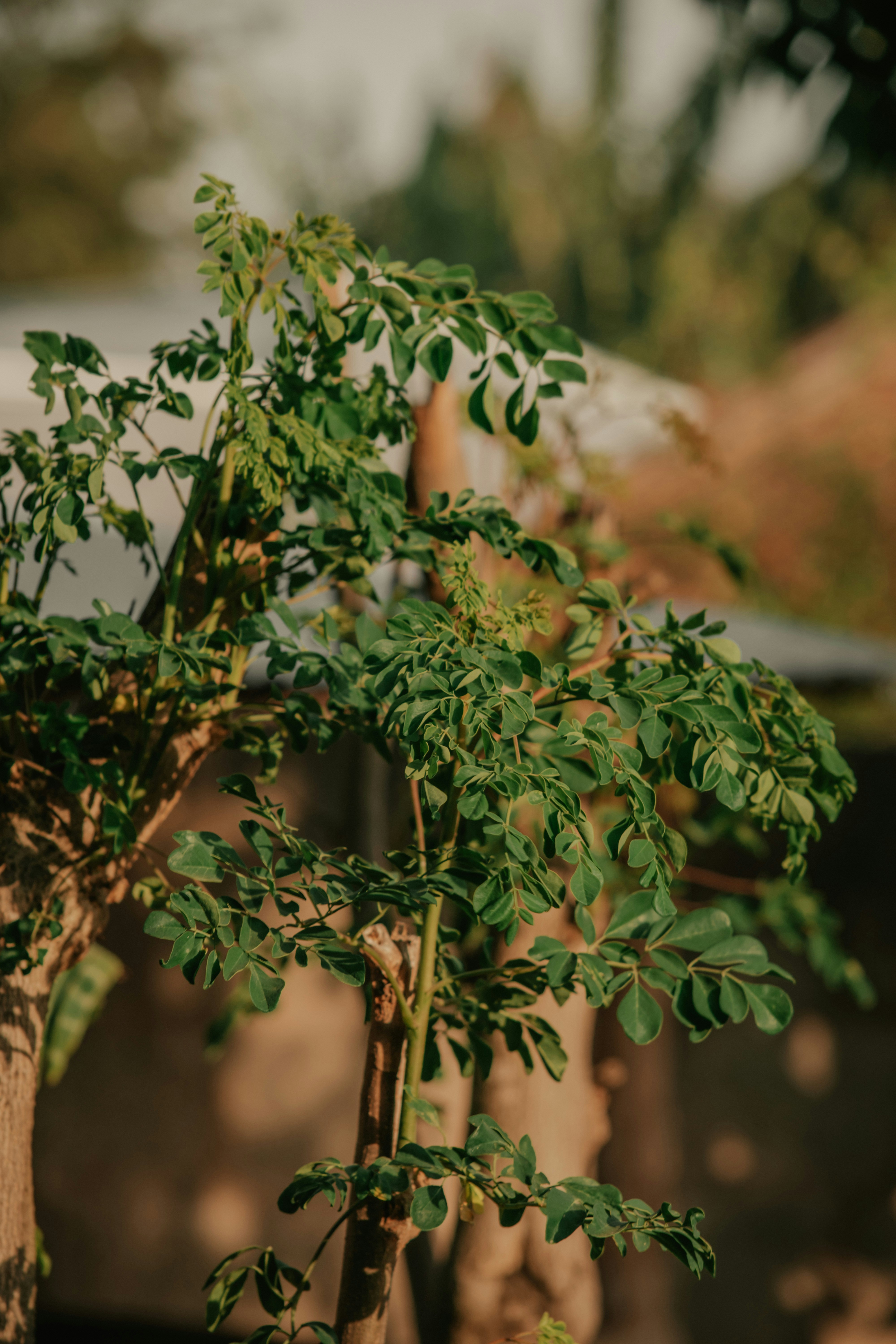 Photo by utunzajiwamazingira