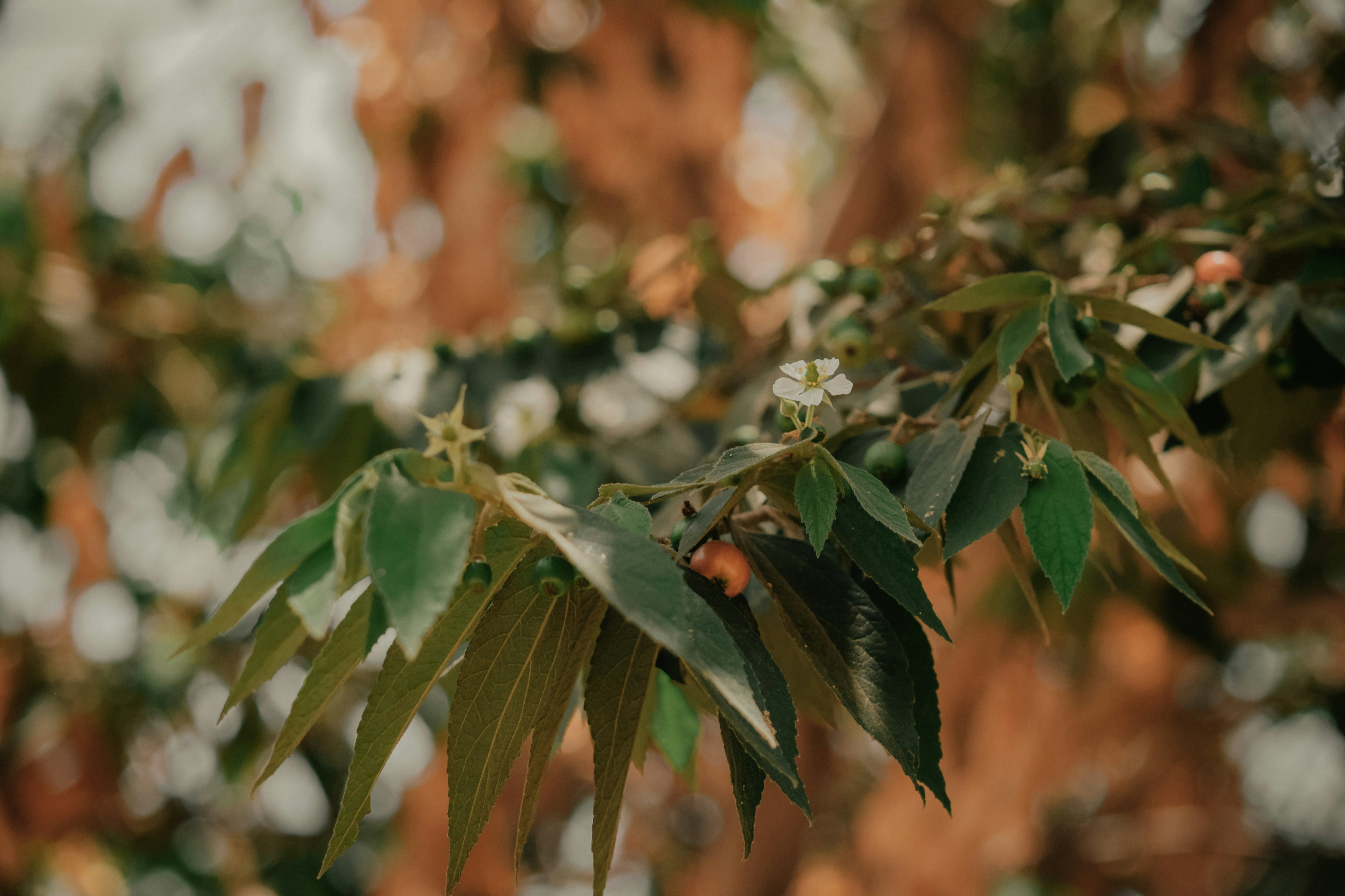 Photo by utunzajiwamazingira