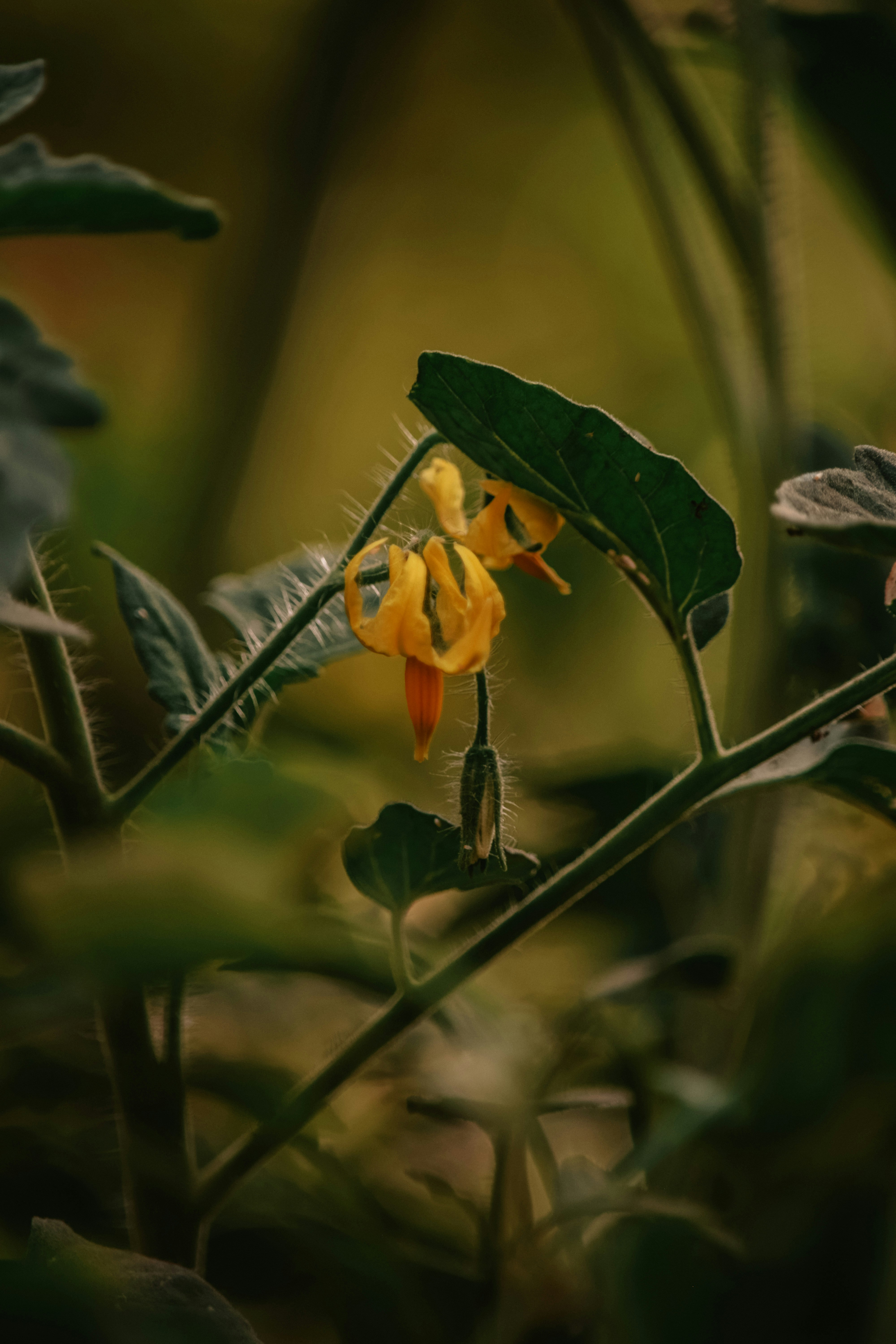 Photo by utunzajiwamazingira